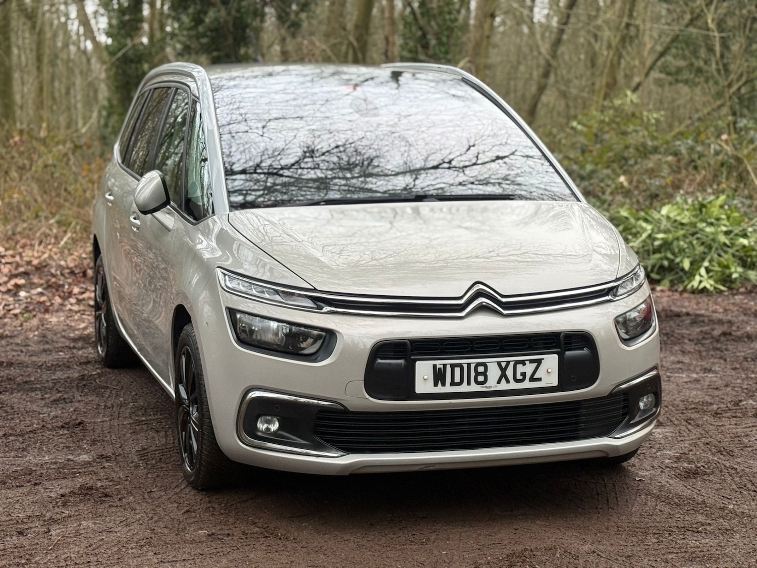 Used Citroen C4 Grand Picasso 2018 for sale - 77367267: Photo 2