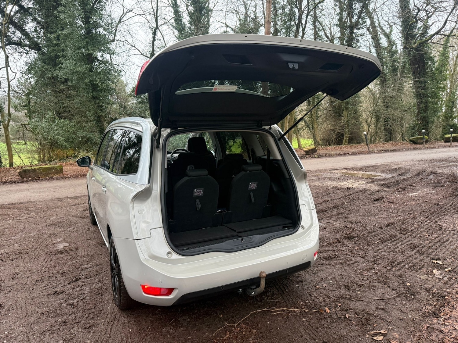 Used Citroen C4 Grand Picasso 2018 for sale - 77367267: Photo 24