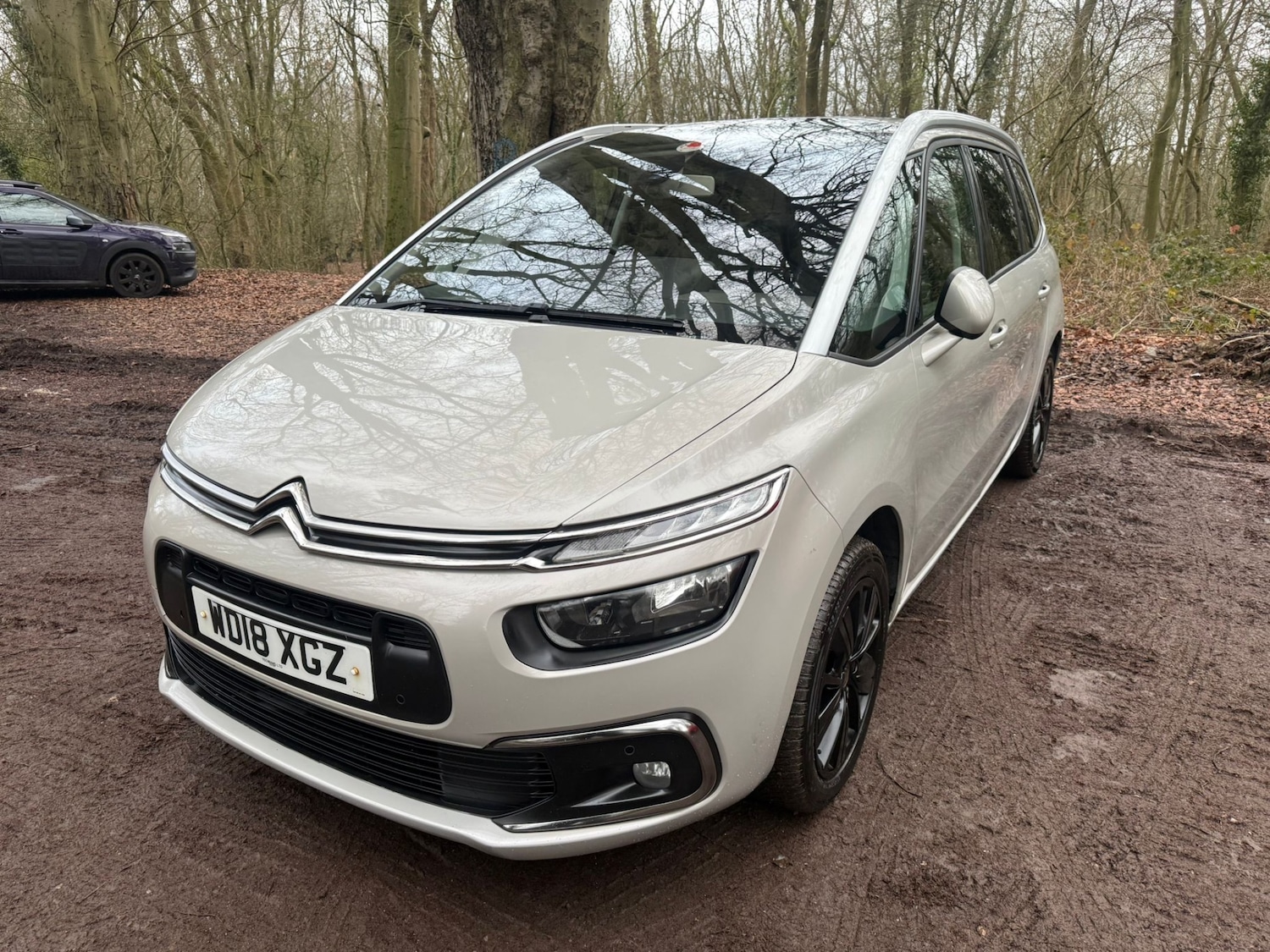 Used Citroen C4 Grand Picasso 2018 for sale - 77367267: Photo 3