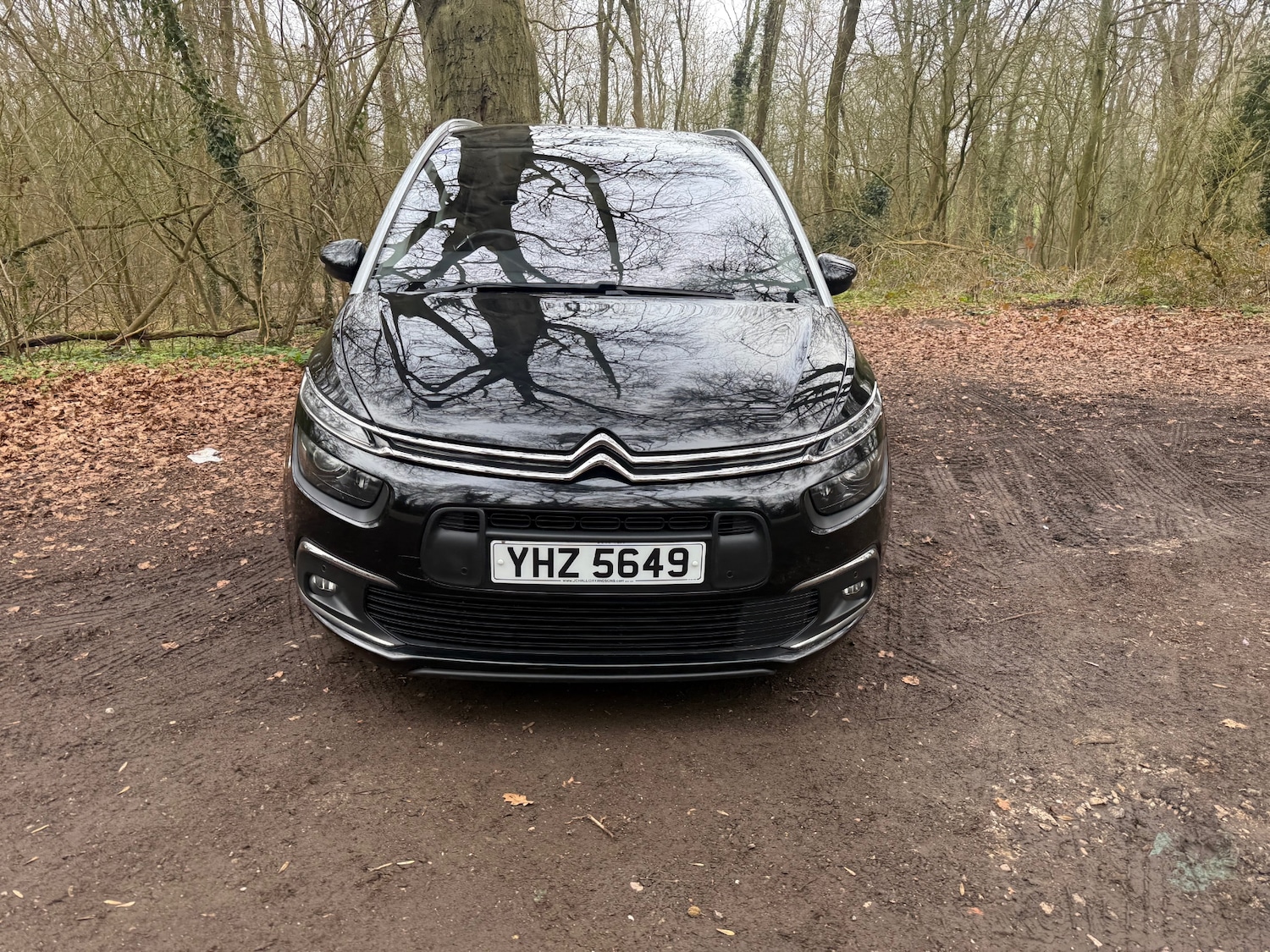 Used Citroen Grand C4 Picasso 2022 for sale - 77742951: Photo 10