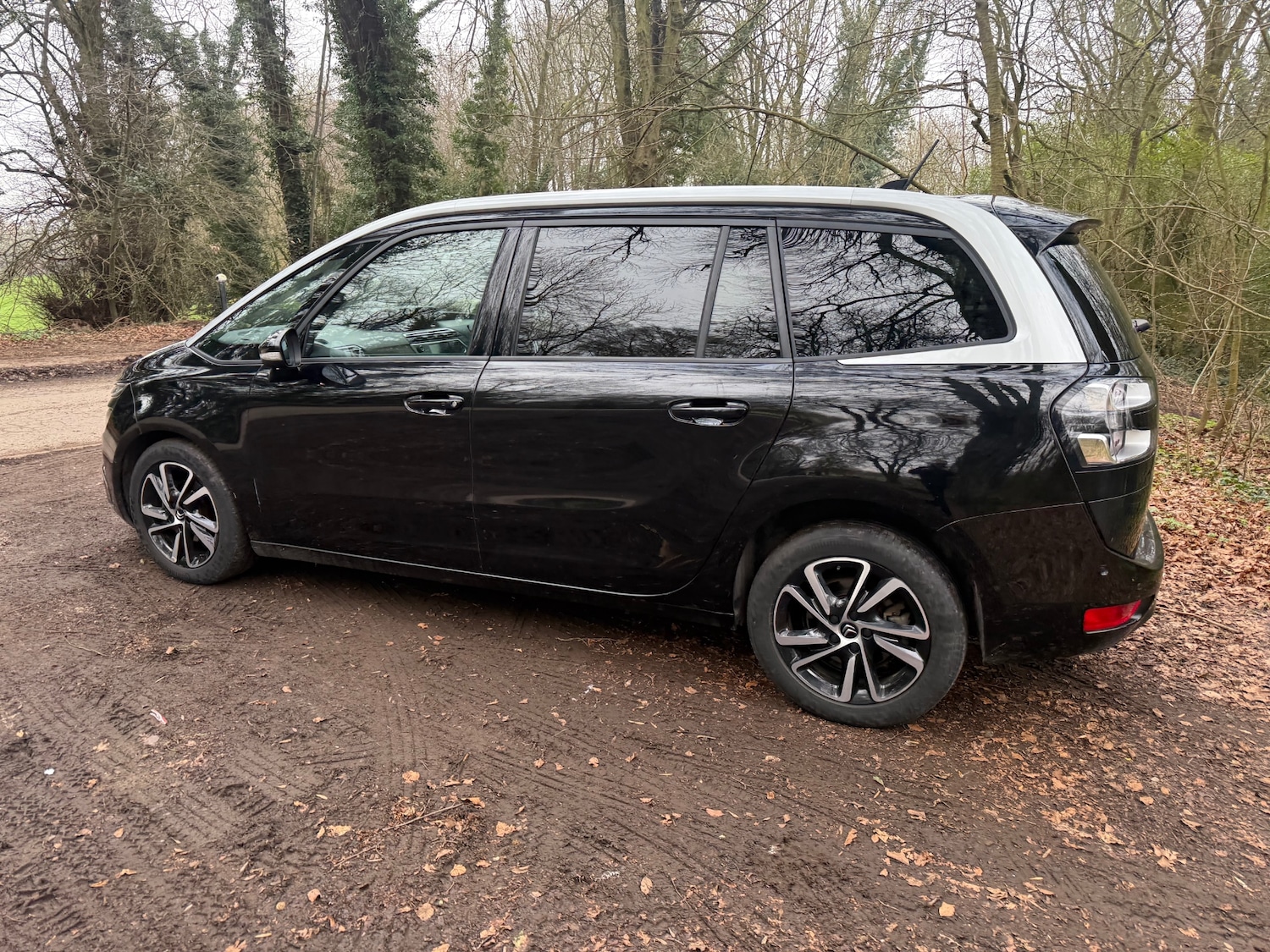 Used Citroen Grand C4 Picasso 2022 for sale - 77742951: Photo 12
