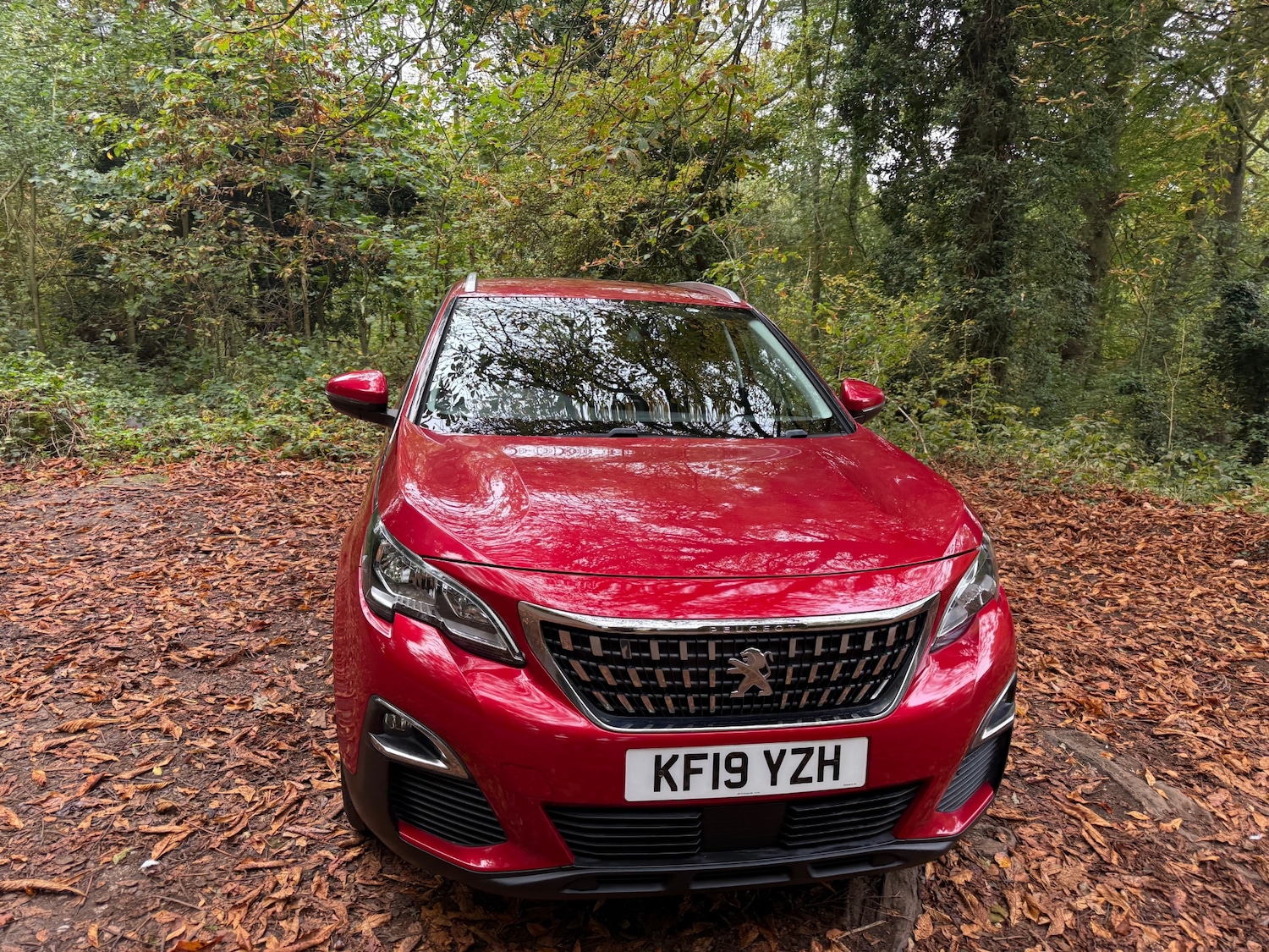 Used Peugeot 3008 2019 for sale - 76253465: Photo 11
