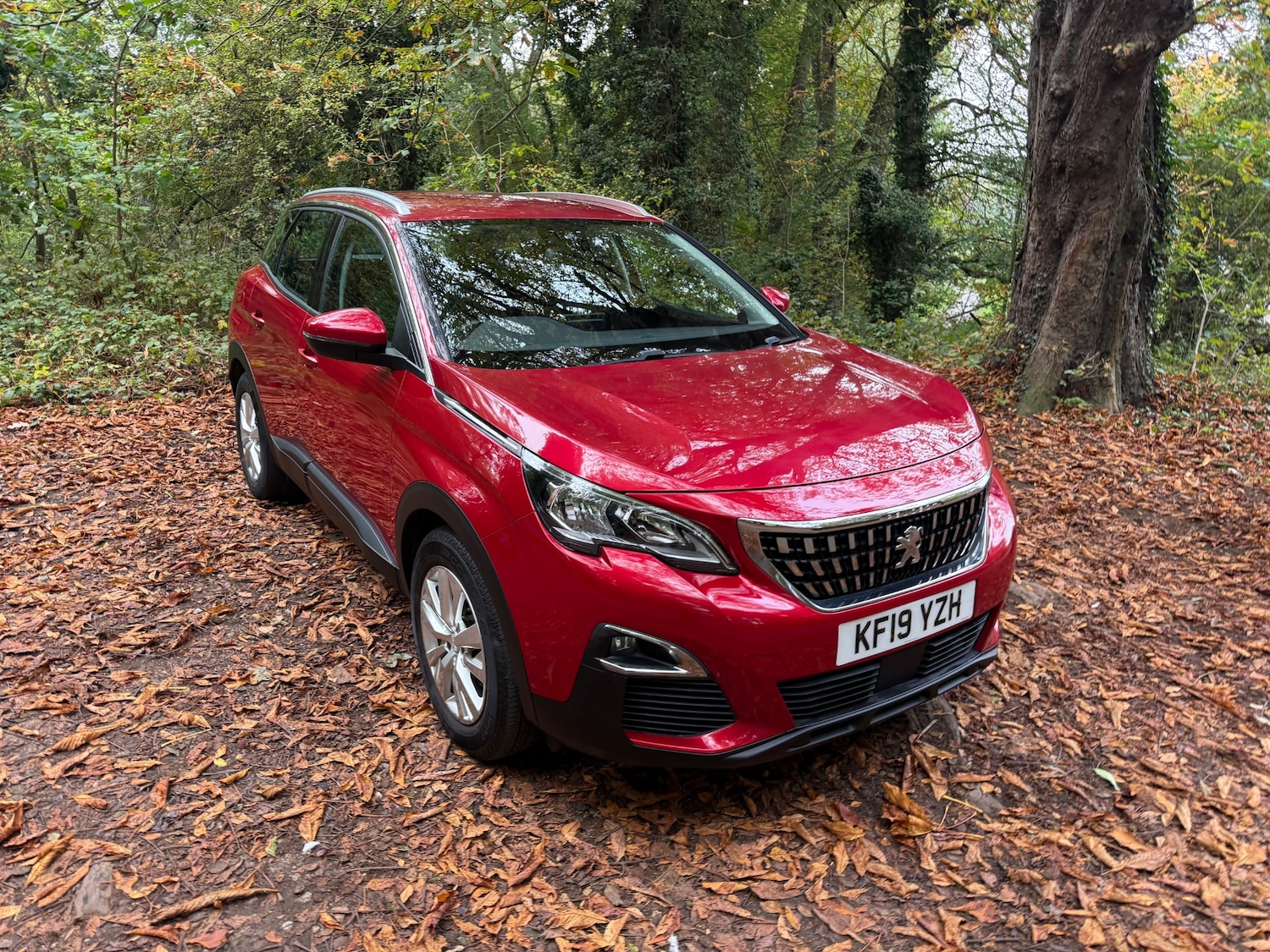 Used Peugeot 3008 2019 for sale - 76253465: Photo 2