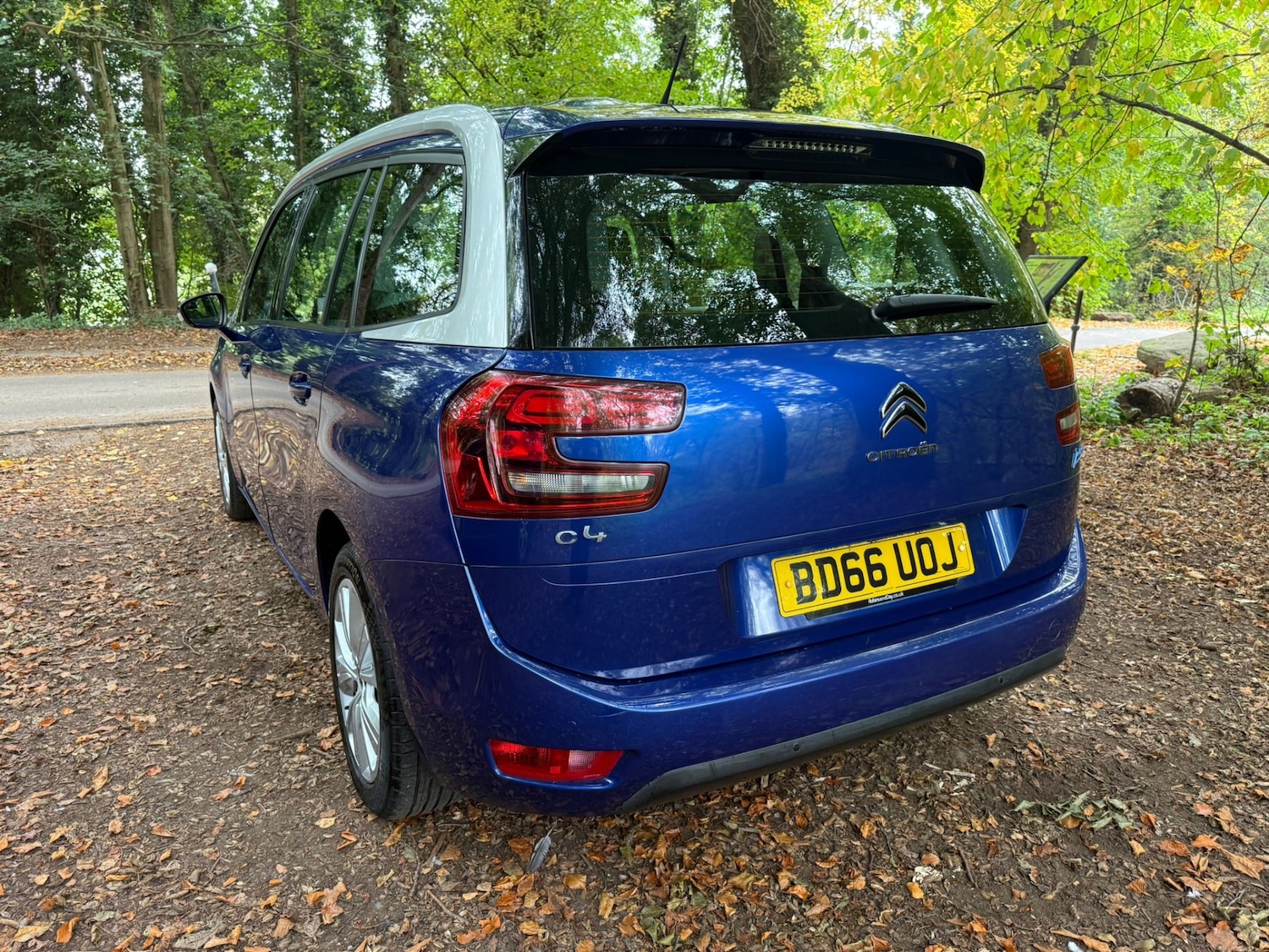 Used Citroen C4 Grand Picasso 2016 for sale - 76300556: Photo 13