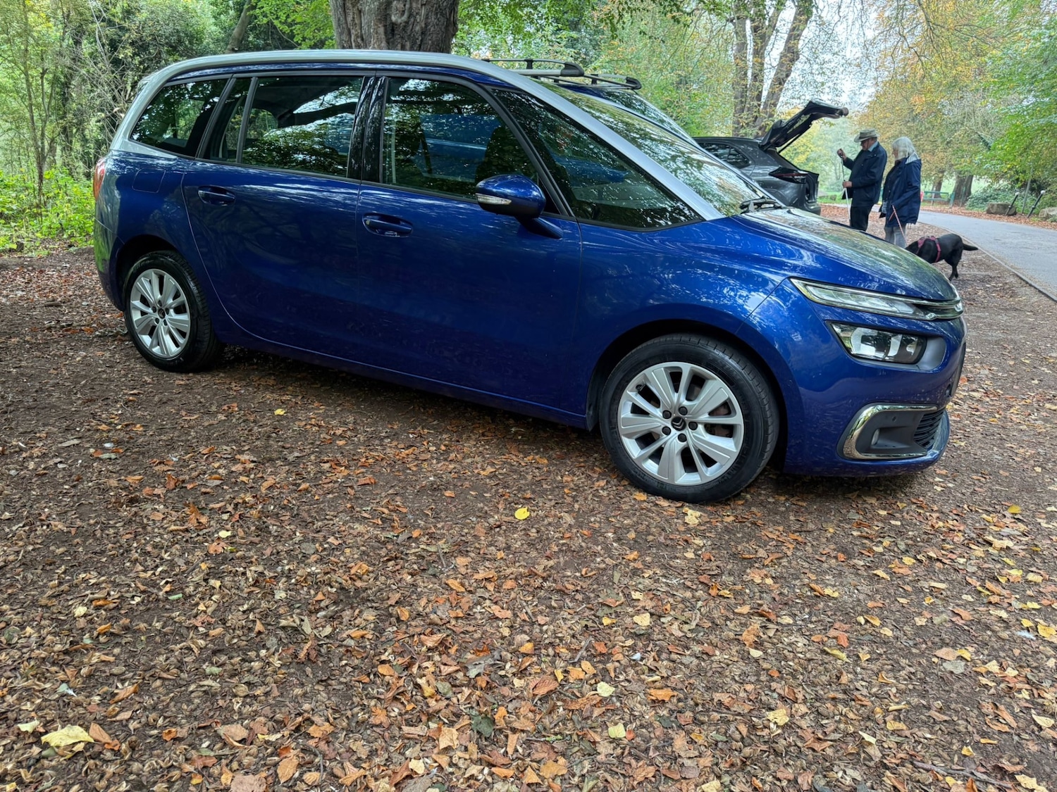 Used Citroen C4 Grand Picasso 2016 for sale - 76300556: Photo 14