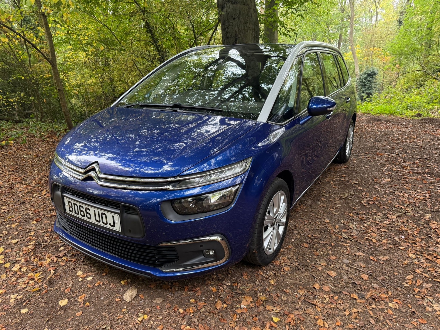 Used Citroen C4 Grand Picasso 2016 for sale - 76300556: Photo 3