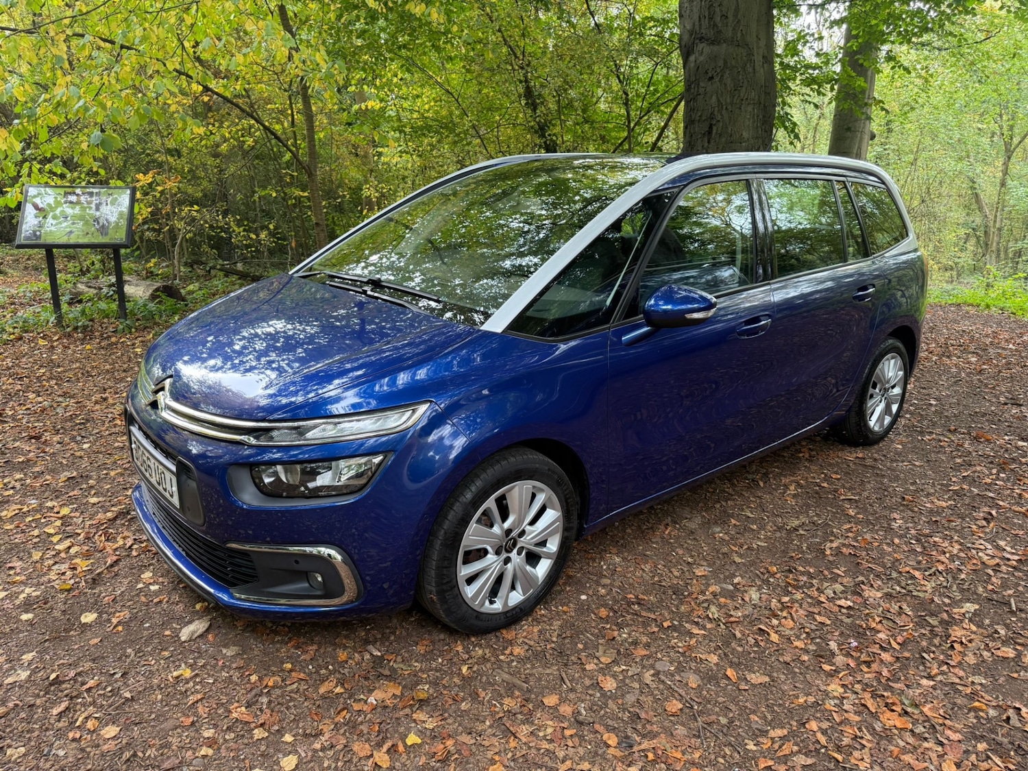 Used Citroen C4 Grand Picasso 2016 for sale - 76300556: Photo 7