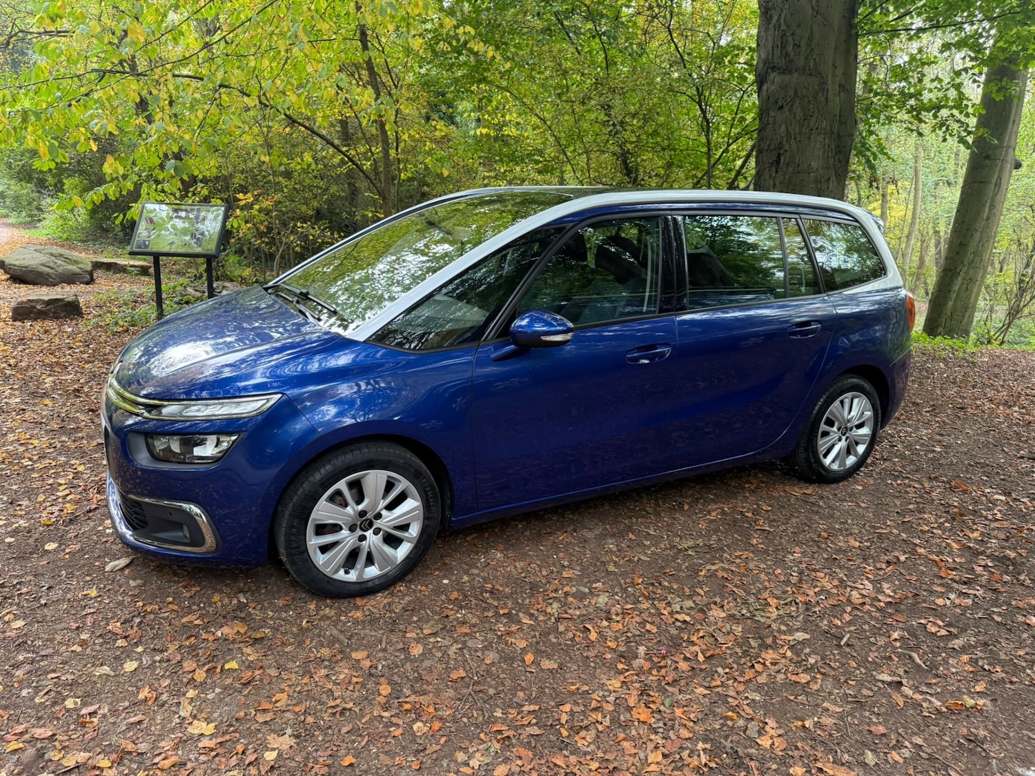 Used Citroen C4 Grand Picasso 2016 for sale - 76300556: Photo 8