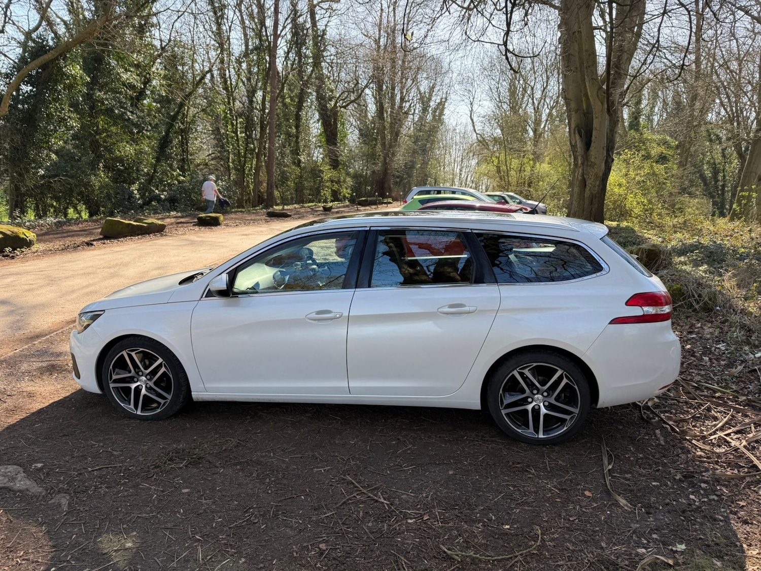 Used Peugeot 308 2017 for sale - 78175929: Photo 10