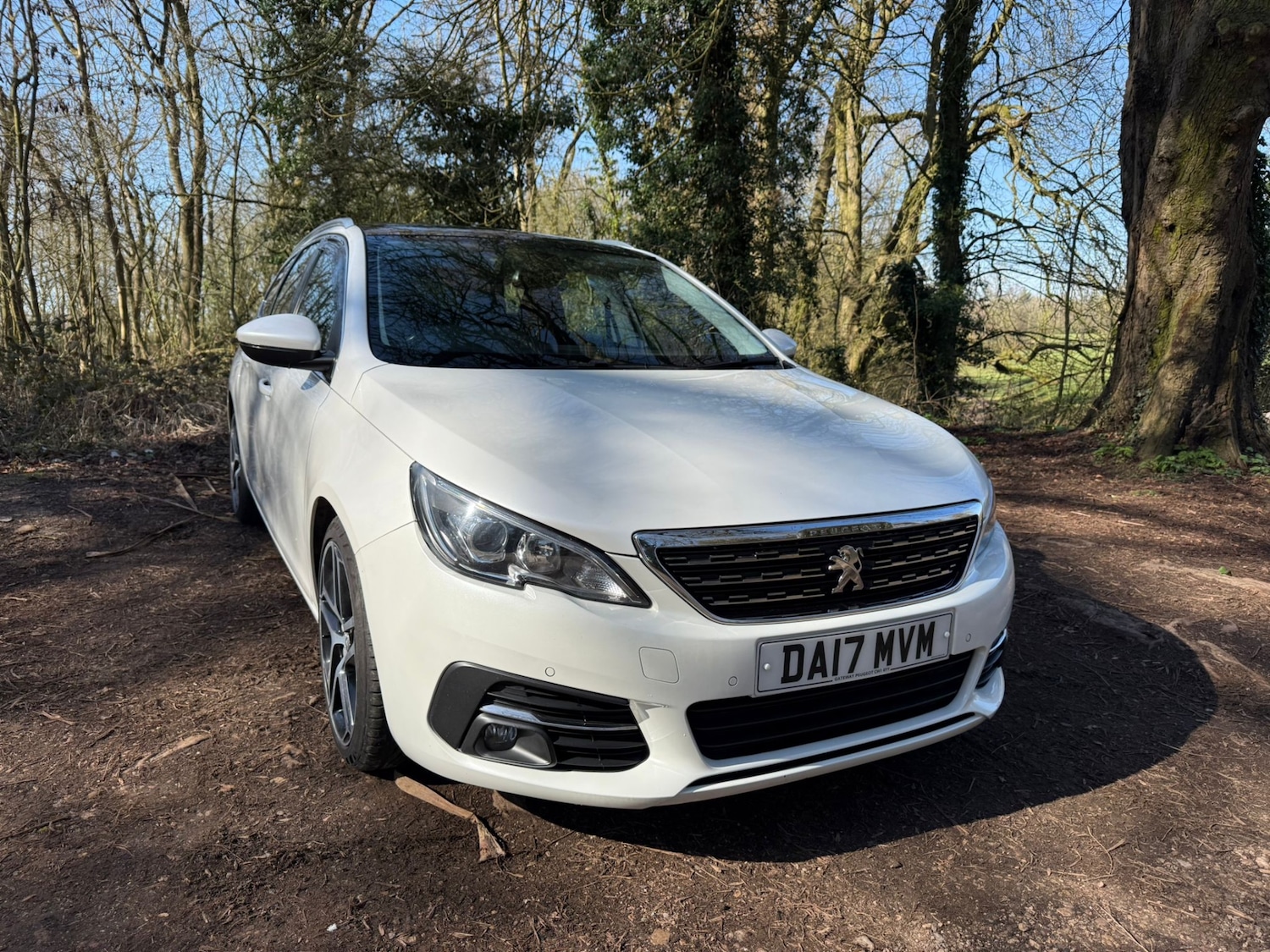Used Peugeot 308 2017 for sale - 78175929: Photo 17
