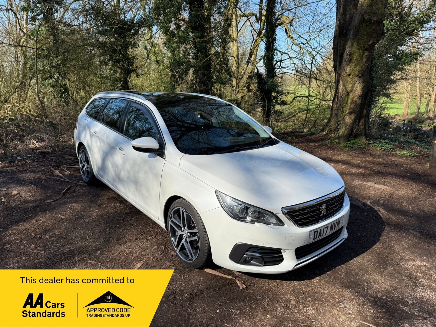 Used Peugeot 308 2017 for sale - 78175929: Photo 25