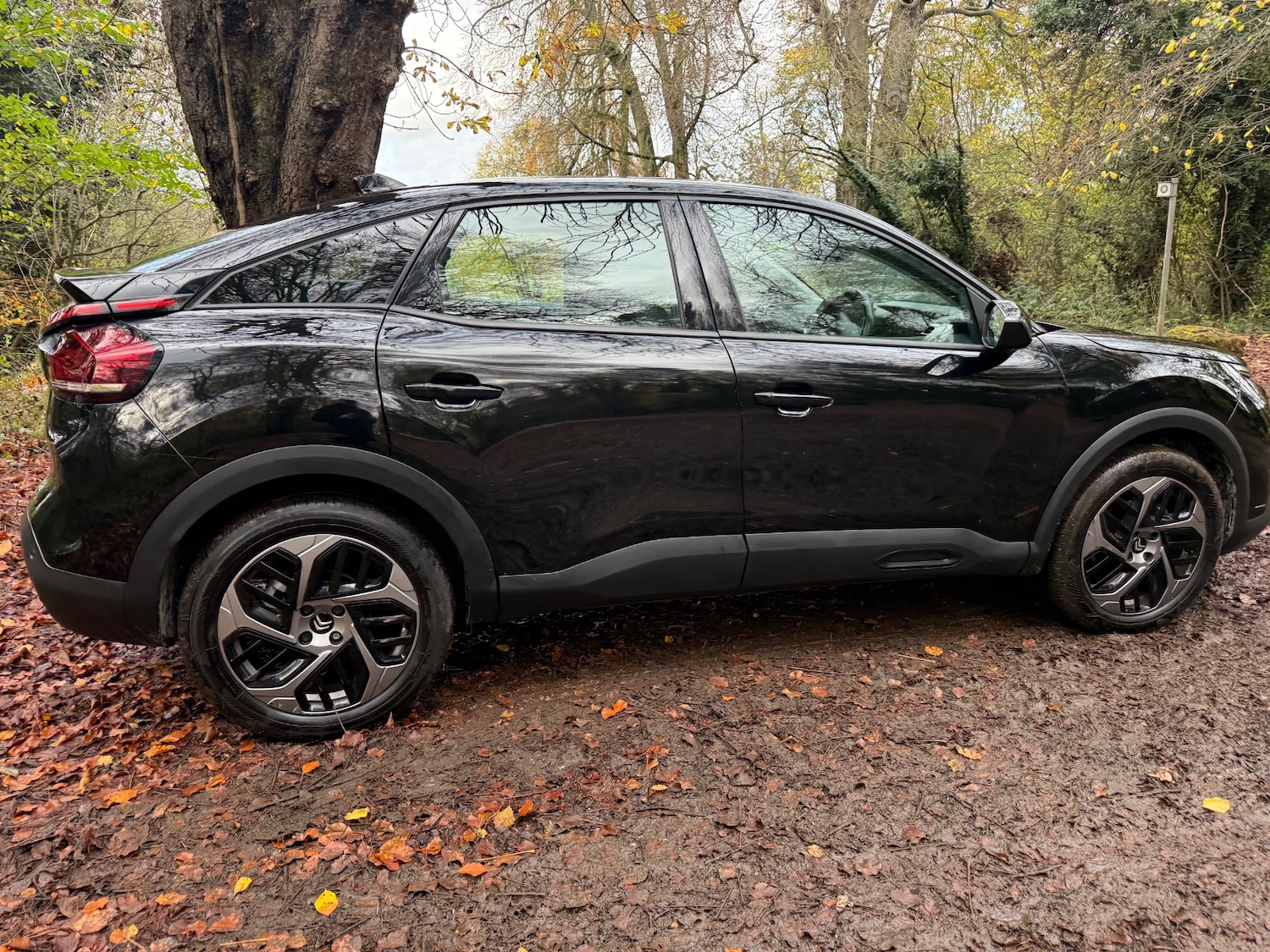 Used Citroen C4 2023 for sale - 76571286: Photo 10