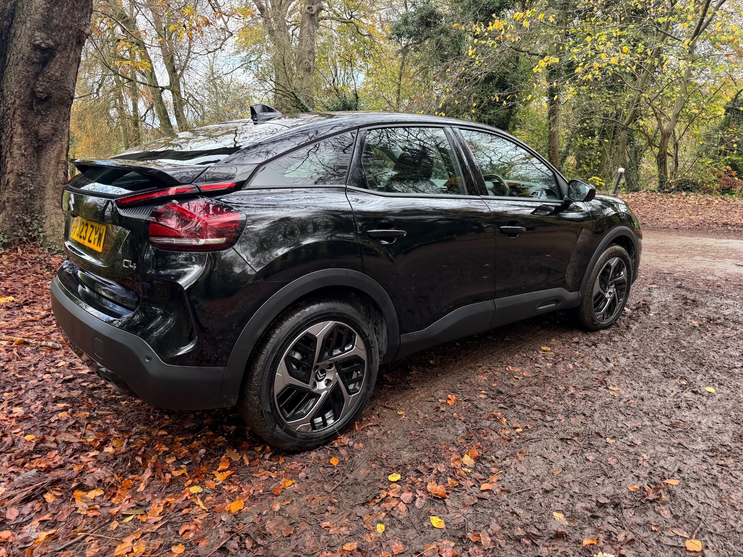 Used Citroen C4 2023 for sale - 76571286: Photo 11