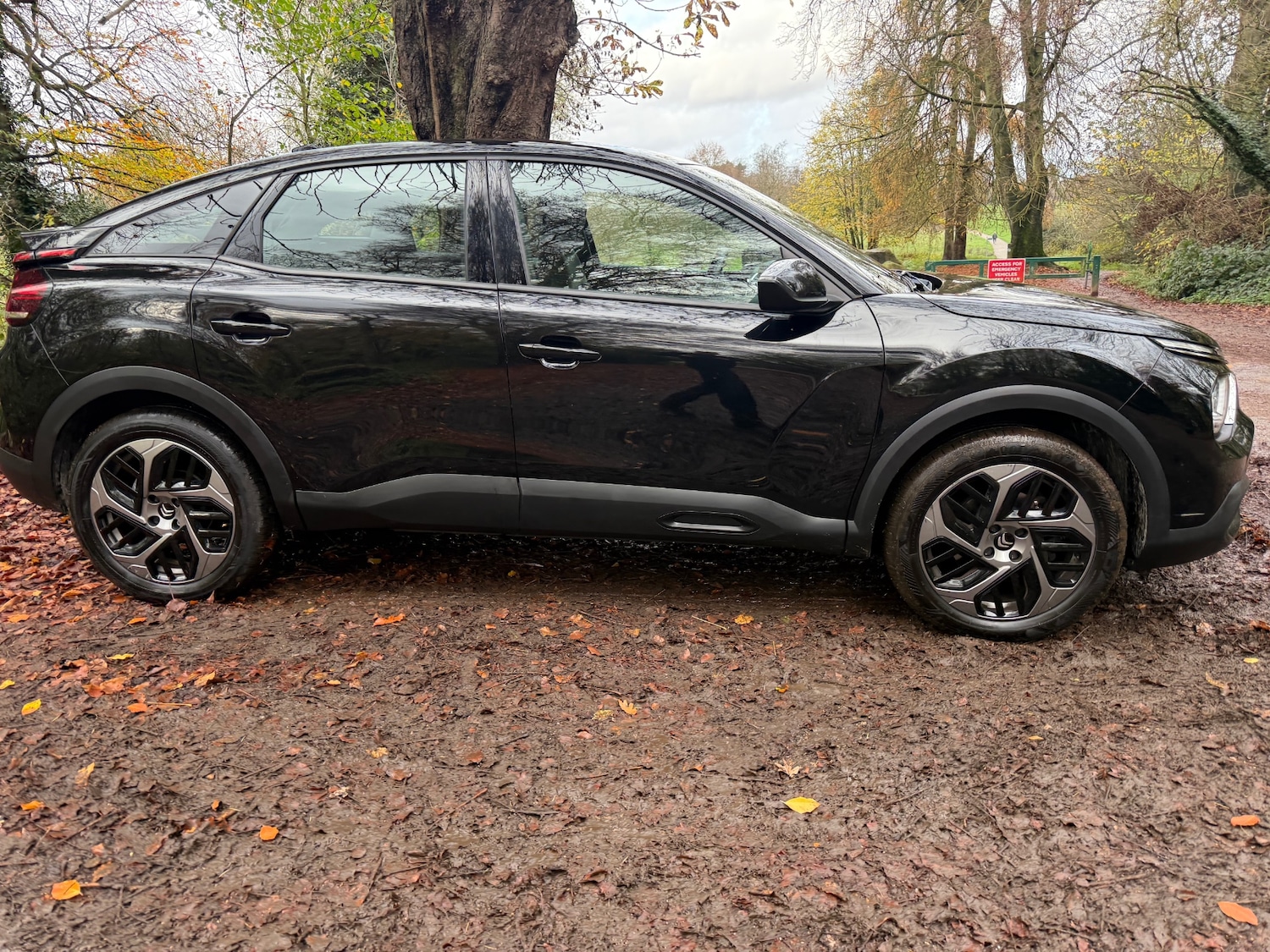 Used Citroen C4 2023 for sale - 76571286: Photo 12