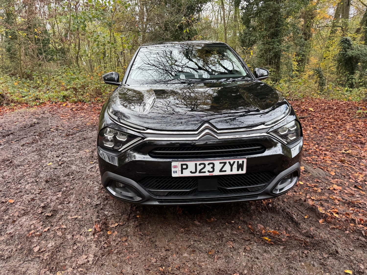 Used Citroen C4 2023 for sale - 76571286: Photo 13