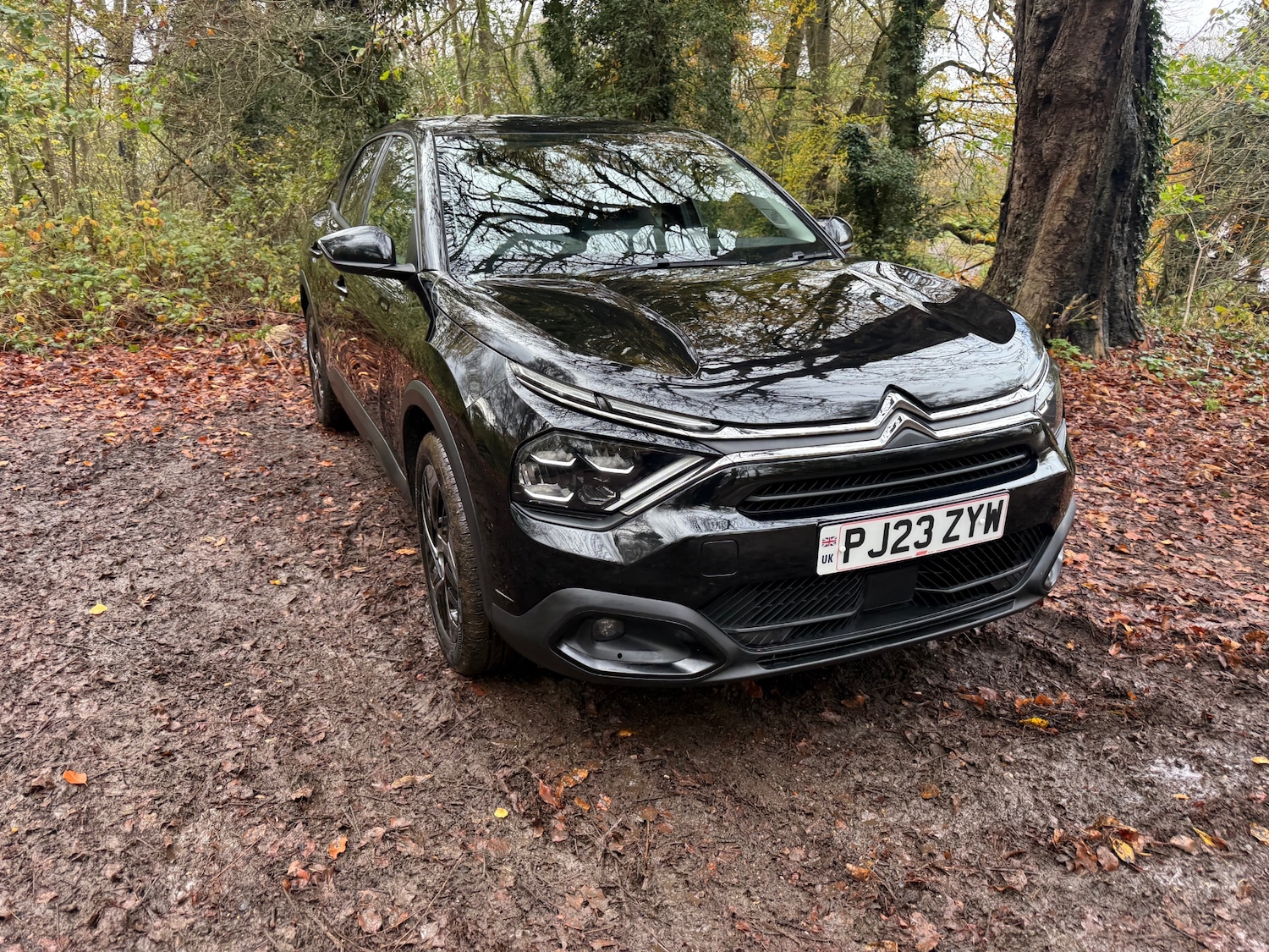 Used Citroen C4 2023 for sale - 76571286: Photo 14