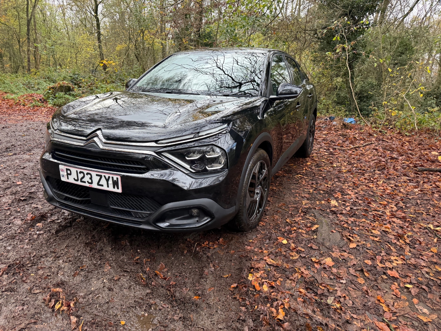 Used Citroen C4 2023 for sale - 76571286: Photo 15