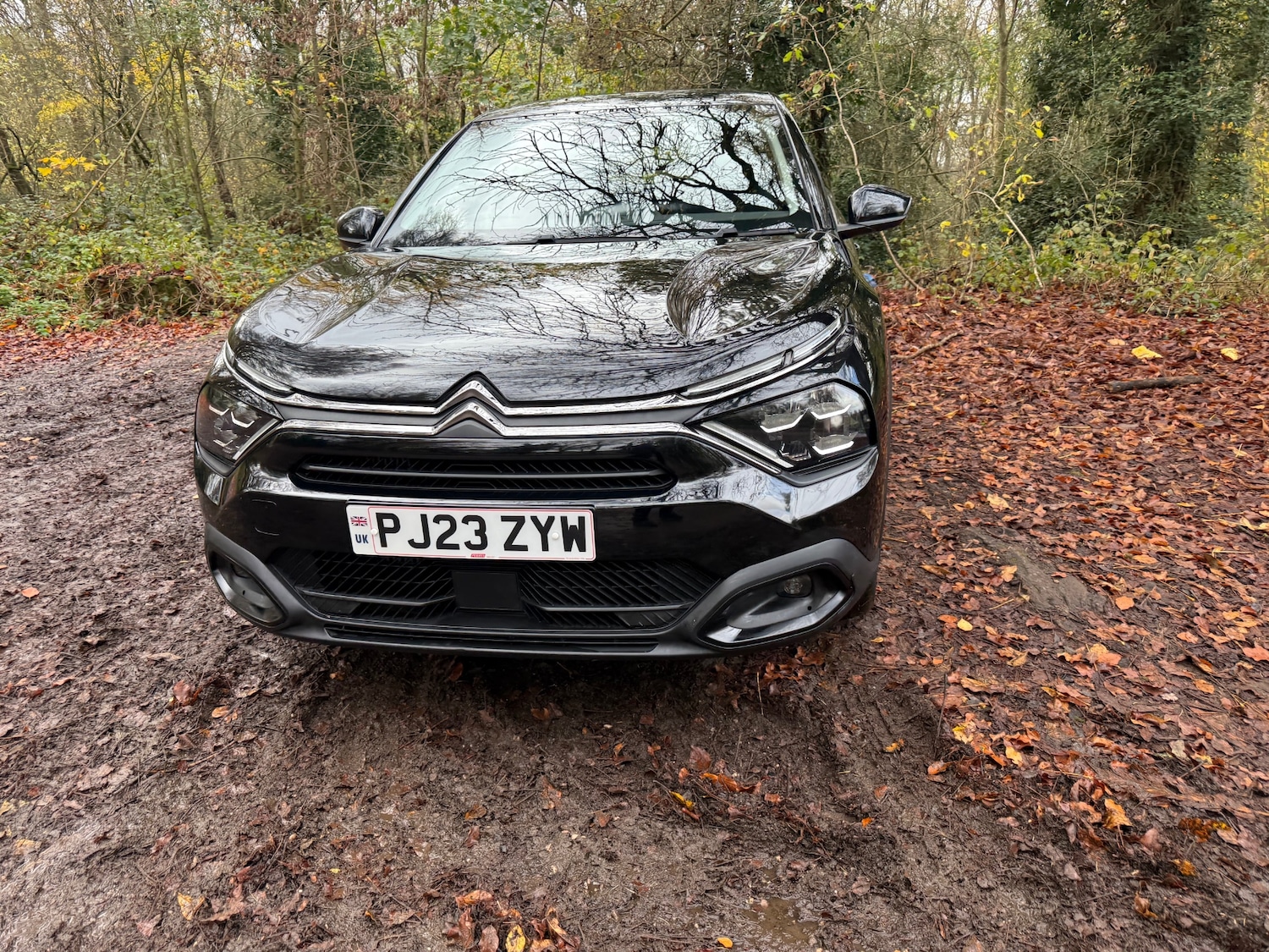Used Citroen C4 2023 for sale - 76571286: Photo 8