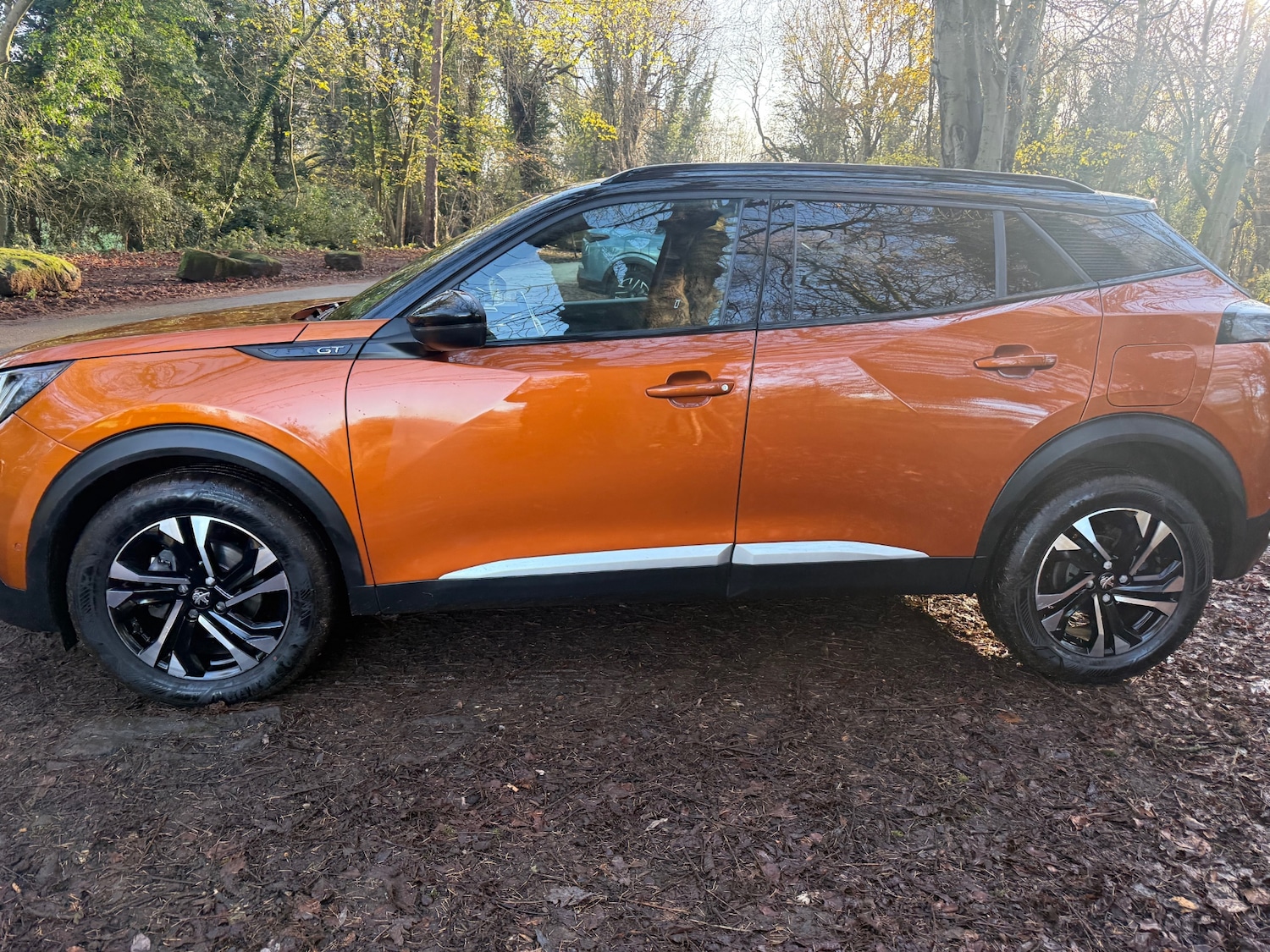 Used Peugeot 2008 2021 for sale - 76785404: Photo 10