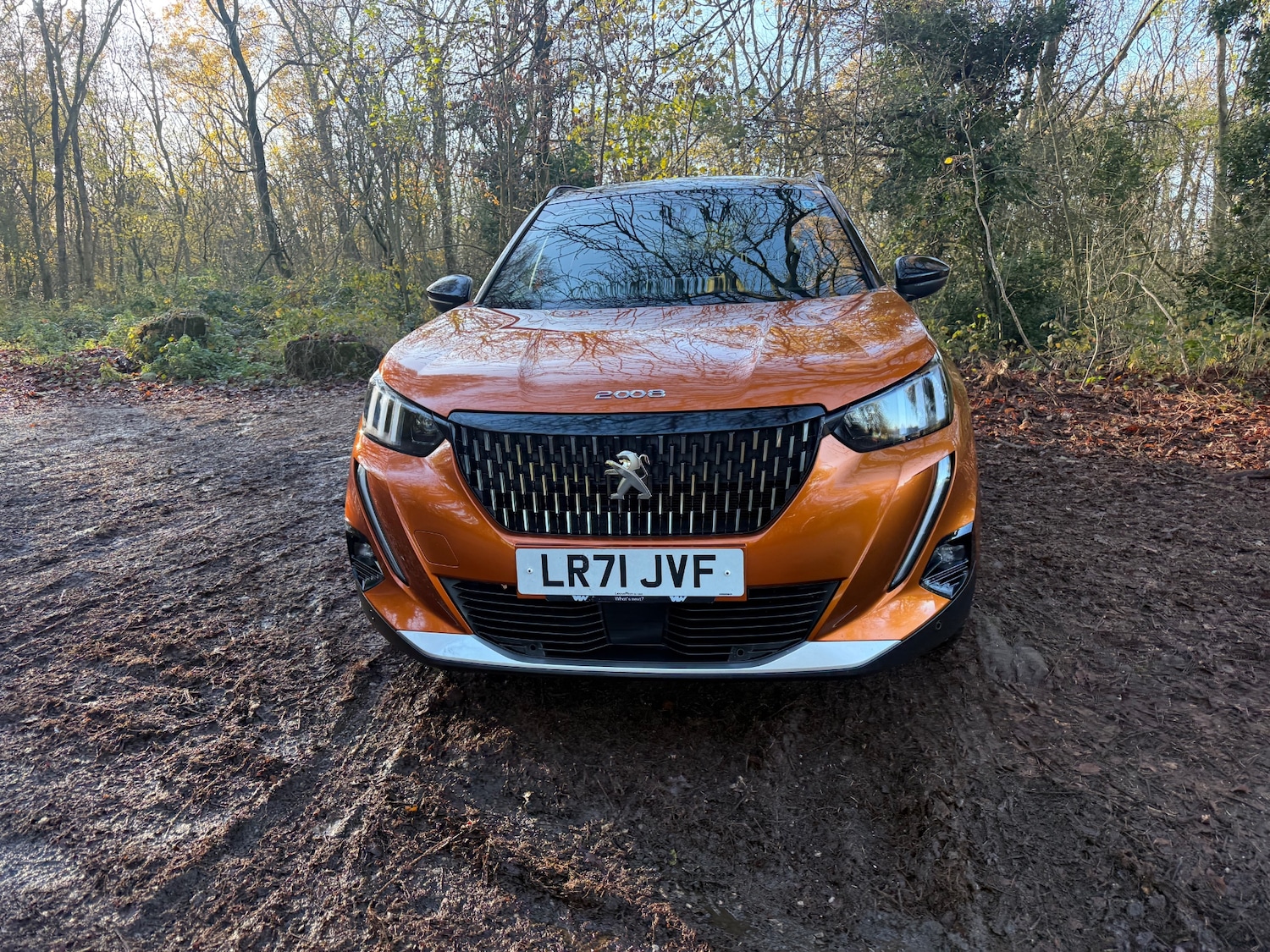 Used Peugeot 2008 2021 for sale - 76785404: Photo 11