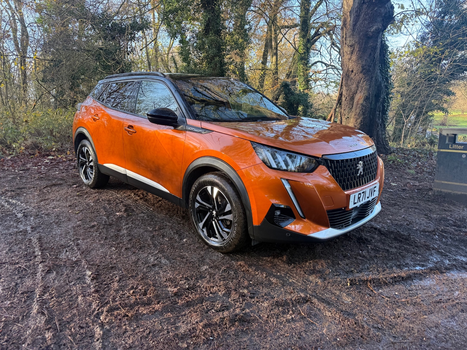 Used Peugeot 2008 2021 for sale - 76785404: Photo 12