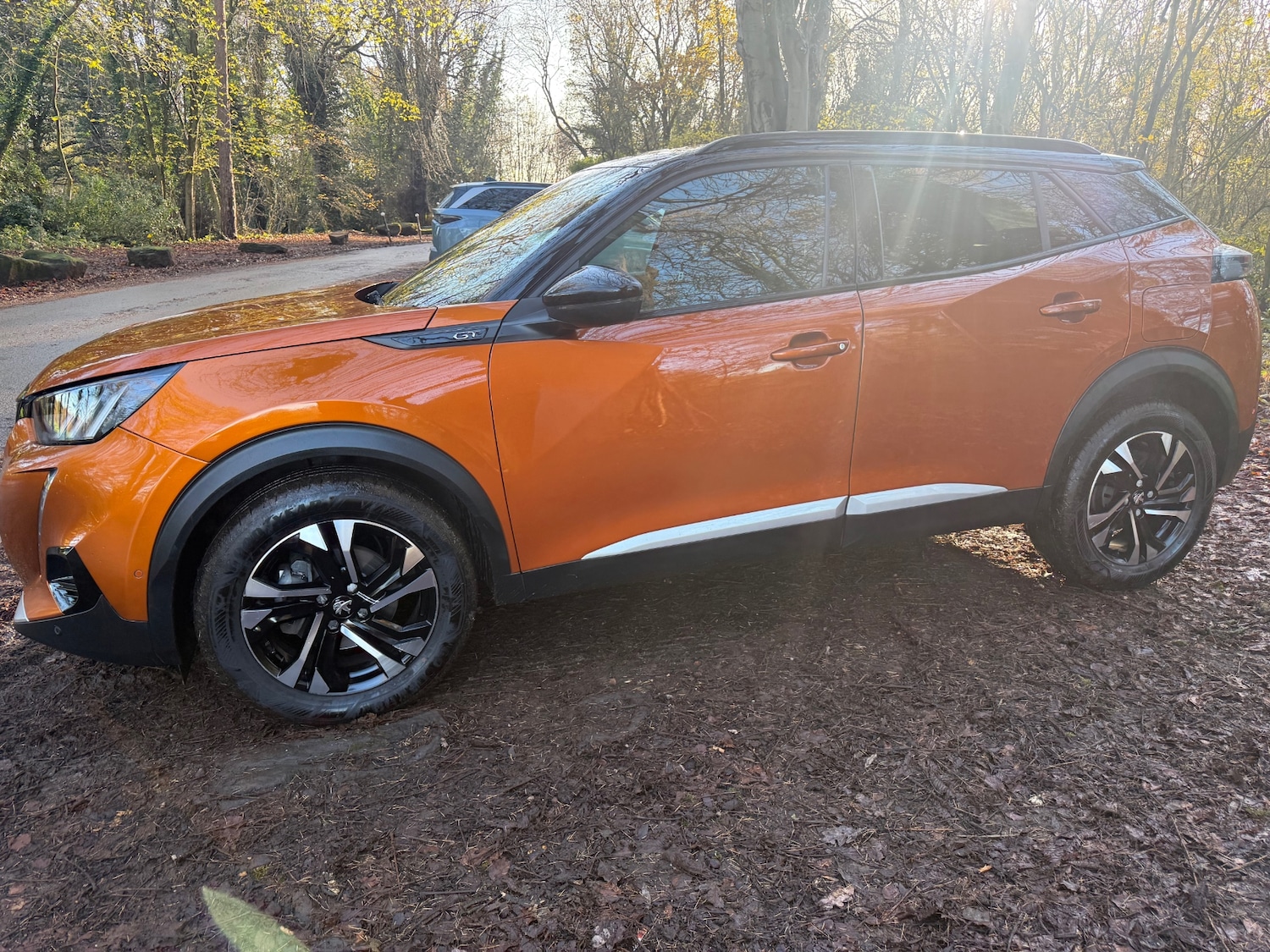 Used Peugeot 2008 2021 for sale - 76785404: Photo 13