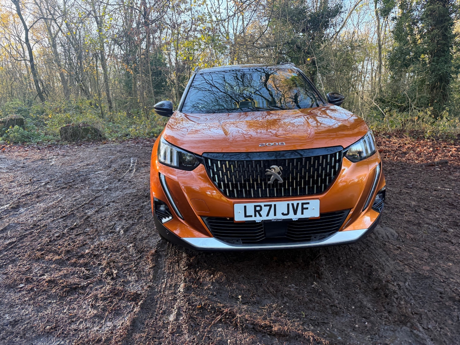 Used Peugeot 2008 2021 for sale - 76785404: Photo 15