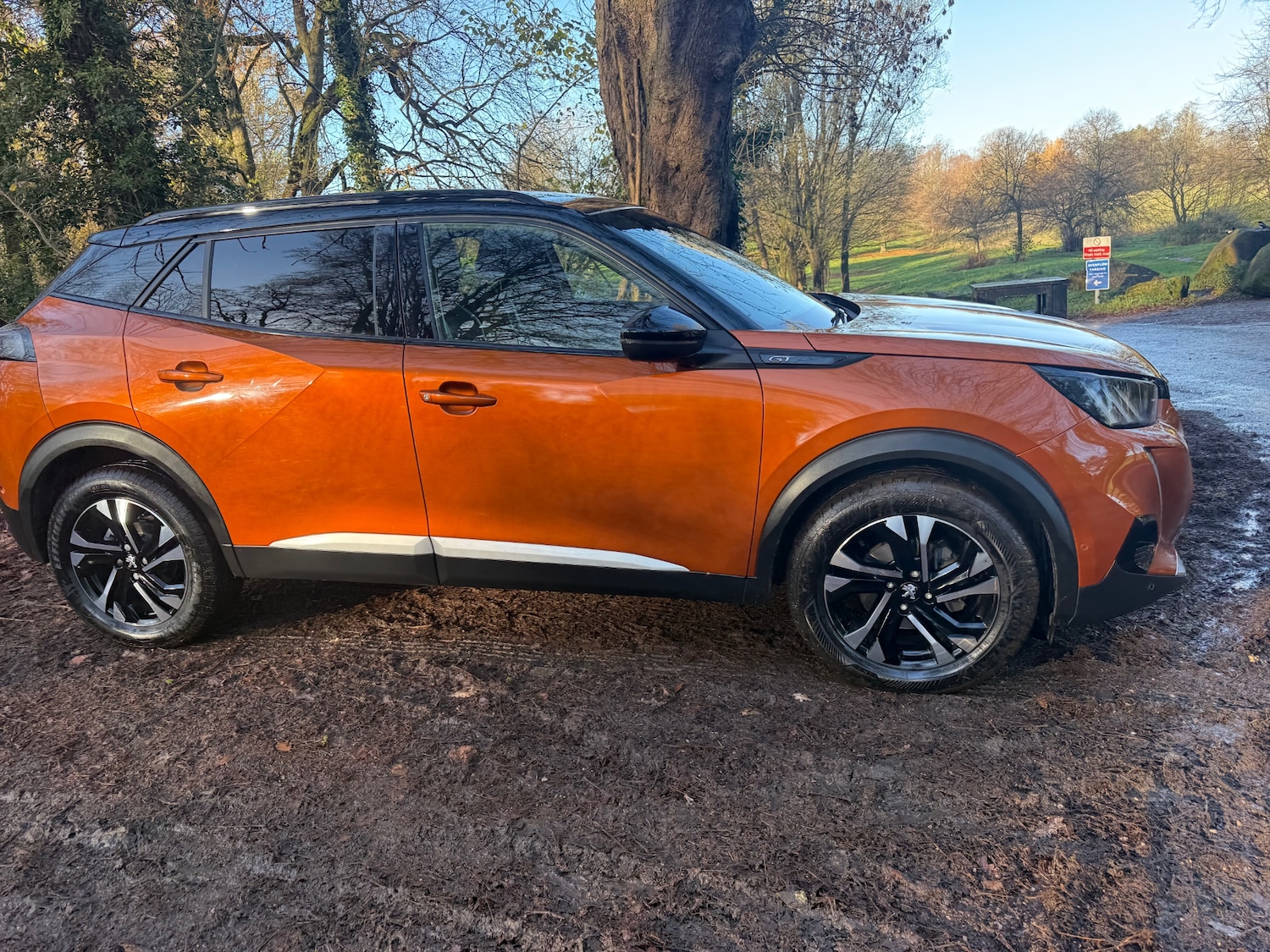 Used Peugeot 2008 2021 for sale - 76785404: Photo 19