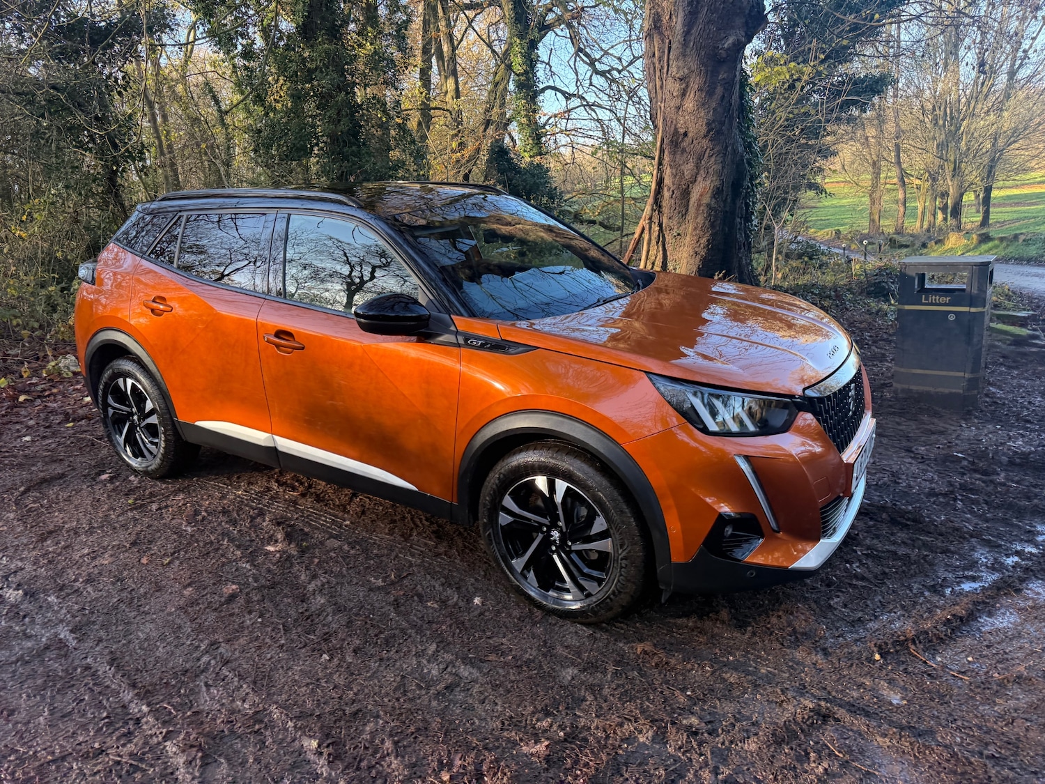 Used Peugeot 2008 2021 for sale - 76785404: Photo 24