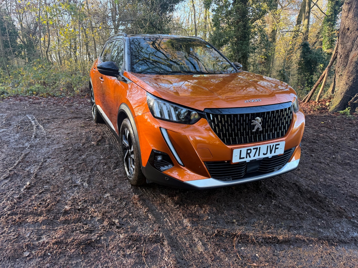 Used Peugeot 2008 2021 for sale - 76785404: Photo 3