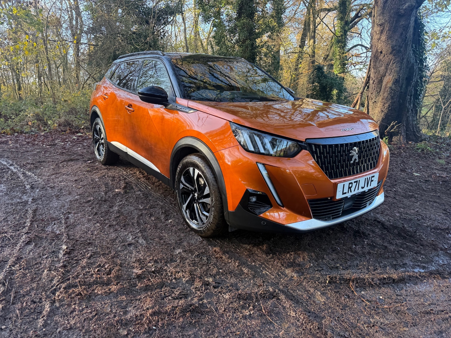 Used Peugeot 2008 2021 for sale - 76785404: Photo 7