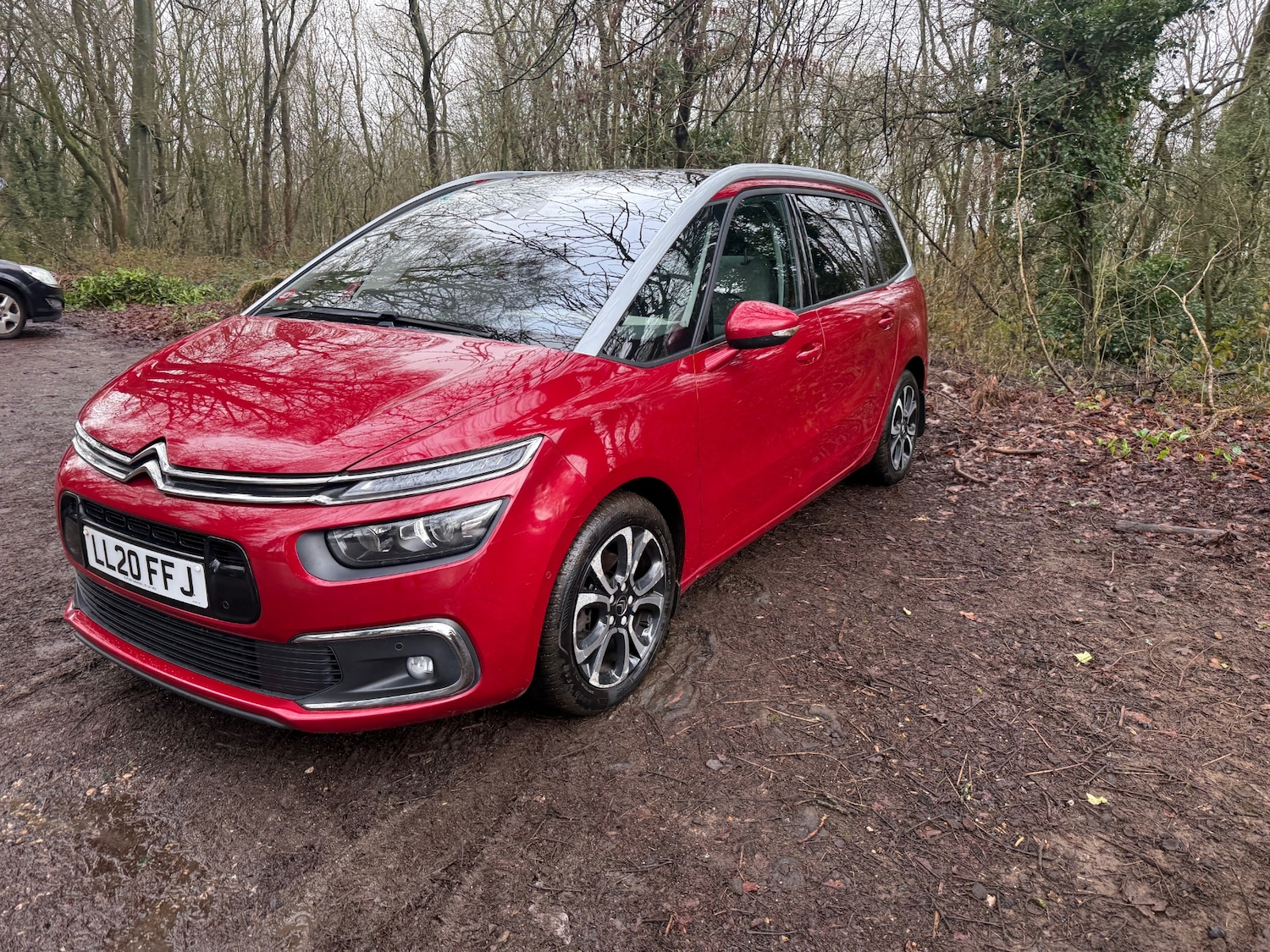 Used Citroen C4 Grand Picasso 2020 for sale - 77517731: Photo 29