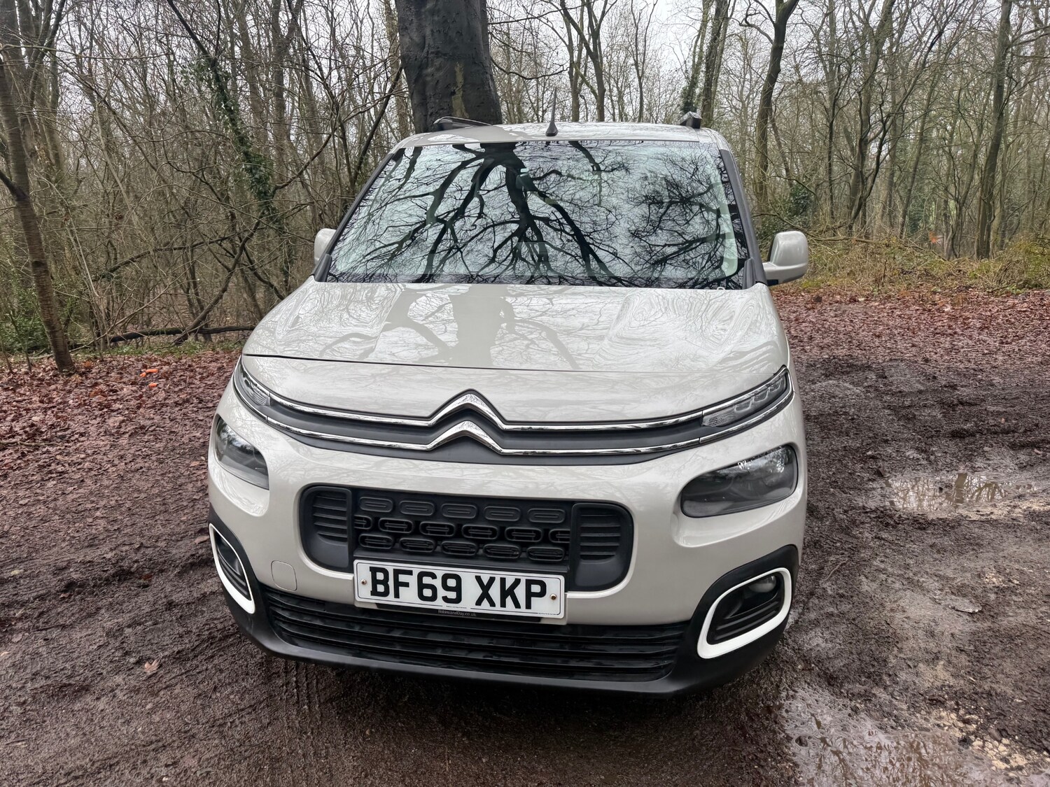 Used Citroen Berlingo 2019 for sale - 77432941: Photo 11