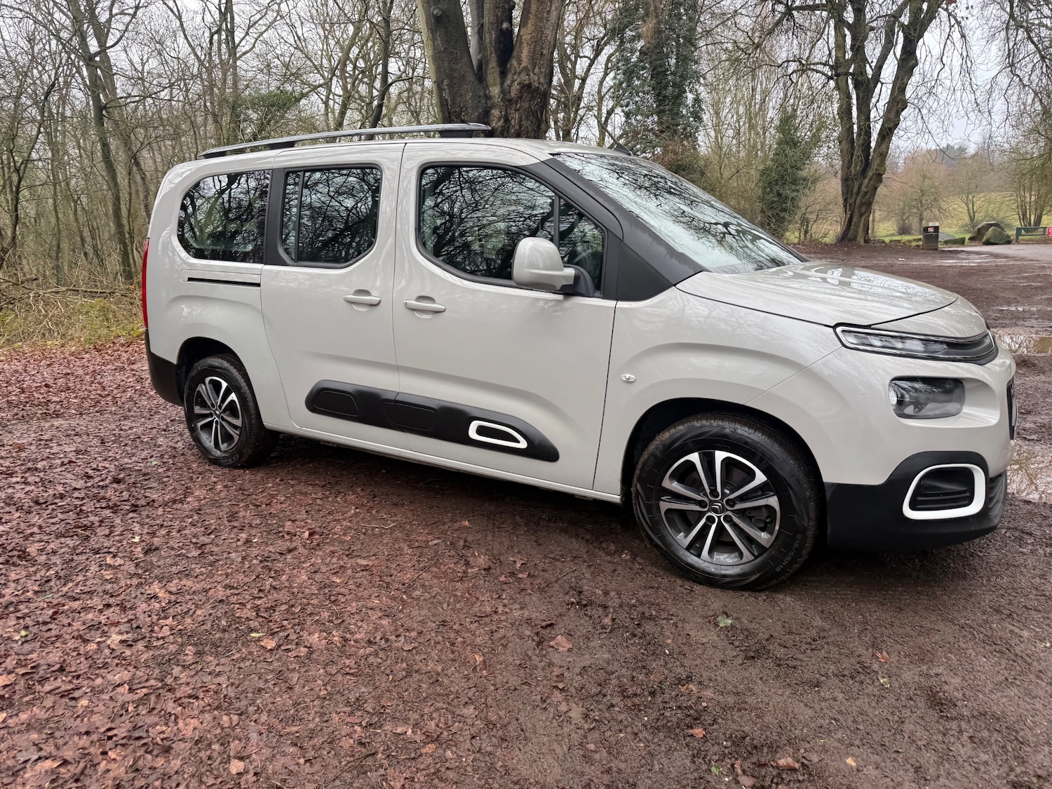 Used Citroen Berlingo 2019 for sale - 77432941: Photo 3