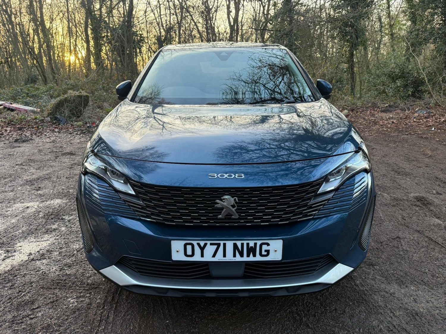 Used Peugeot 3008 2021 for sale - 77261882: Photo 10