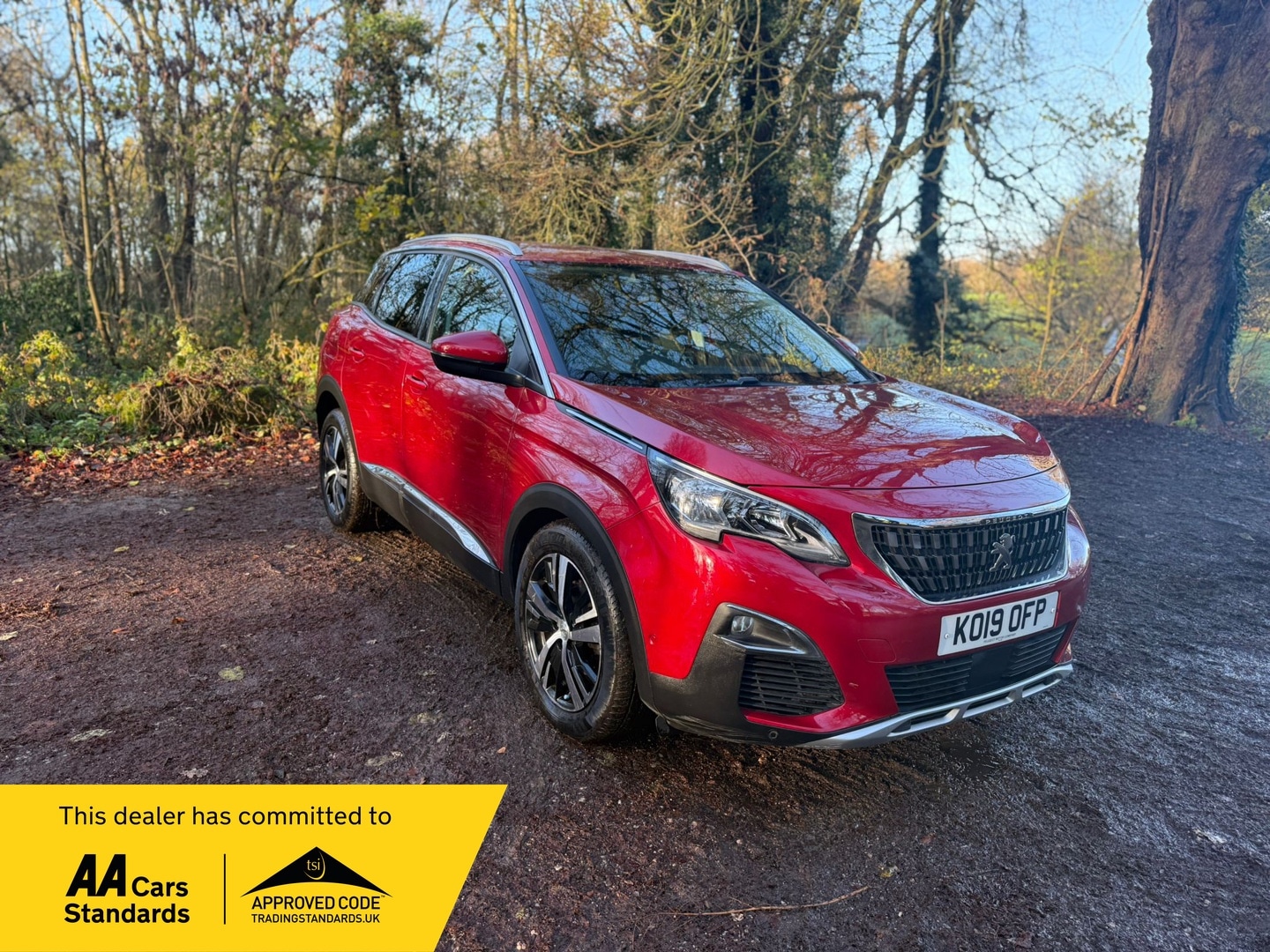 Used Peugeot 3008 2019 for sale - 76777232: Photo 1