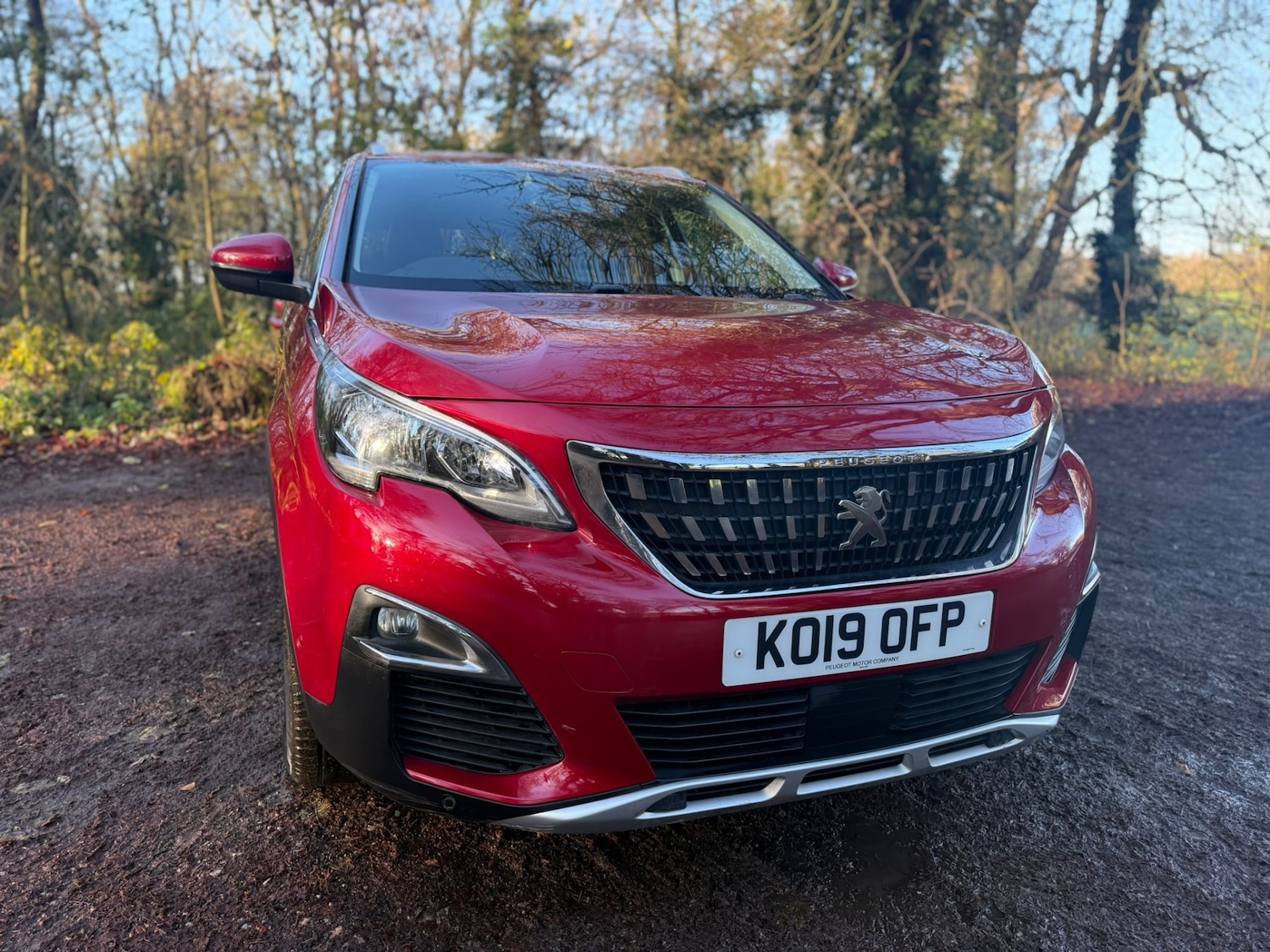 Used Peugeot 3008 2019 for sale - 76777232: Photo 15