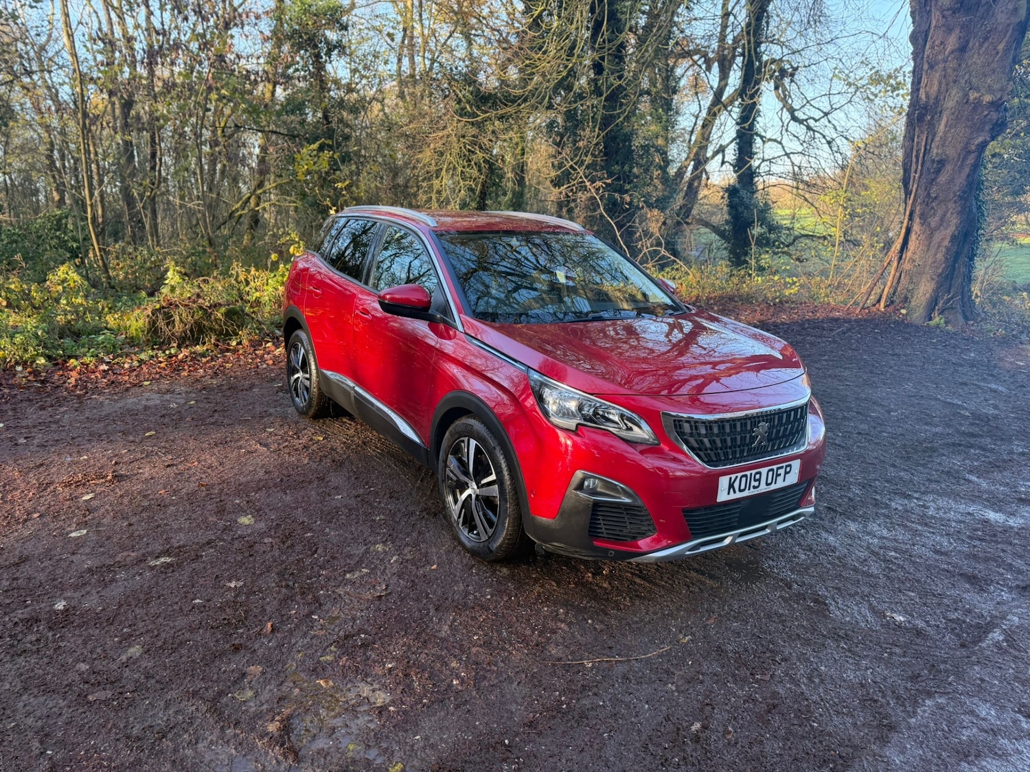 Used Peugeot 3008 2019 for sale - 76777232: Photo 16