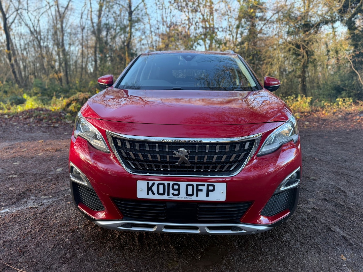 Used Peugeot 3008 2019 for sale - 76777232: Photo 2