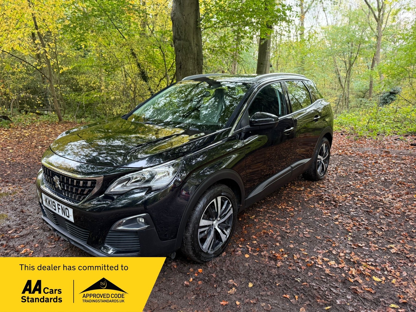 Used Peugeot 3008 2019 for sale - 76347089: Photo 1