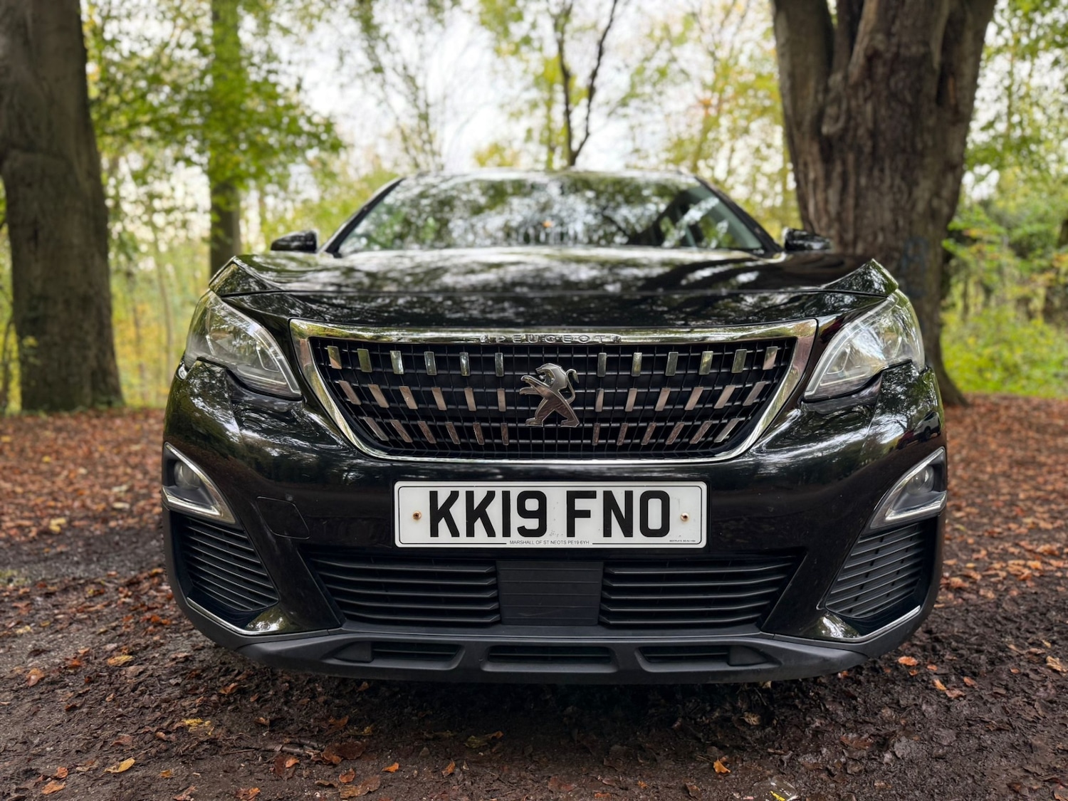Used Peugeot 3008 2019 for sale - 76347089: Photo 23