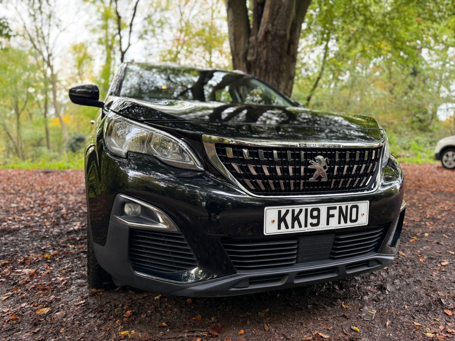 Used Peugeot 3008 2019 for sale - 76347089: Photo 24