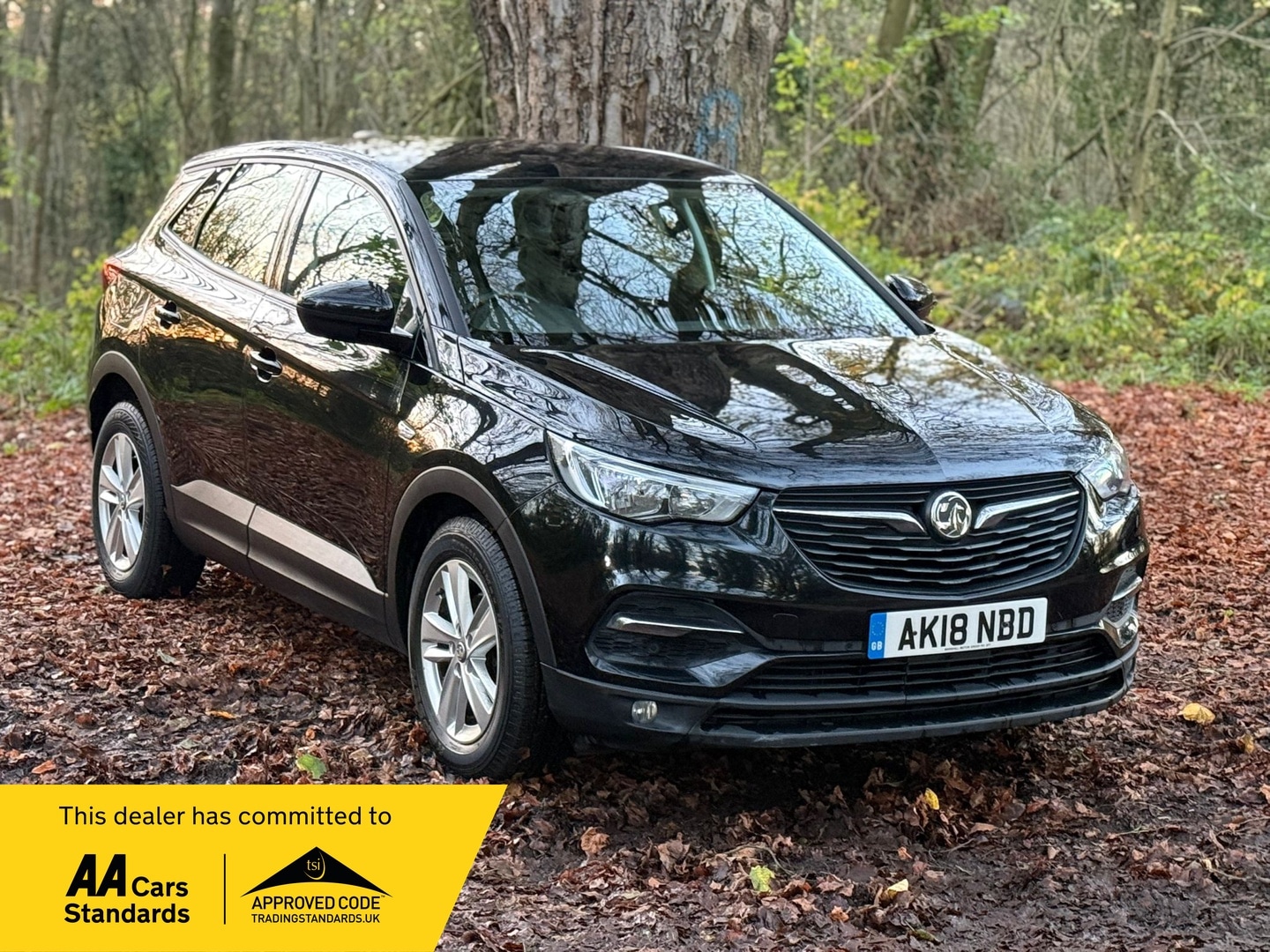 Used Vauxhall Grandland X 2018 for sale - 76602965: Photo 1