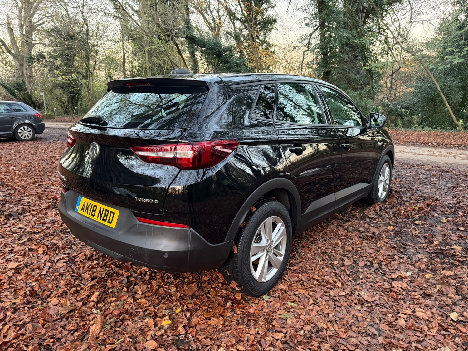 Used Vauxhall Grandland X 2018 for sale - 76602965: Photo 10