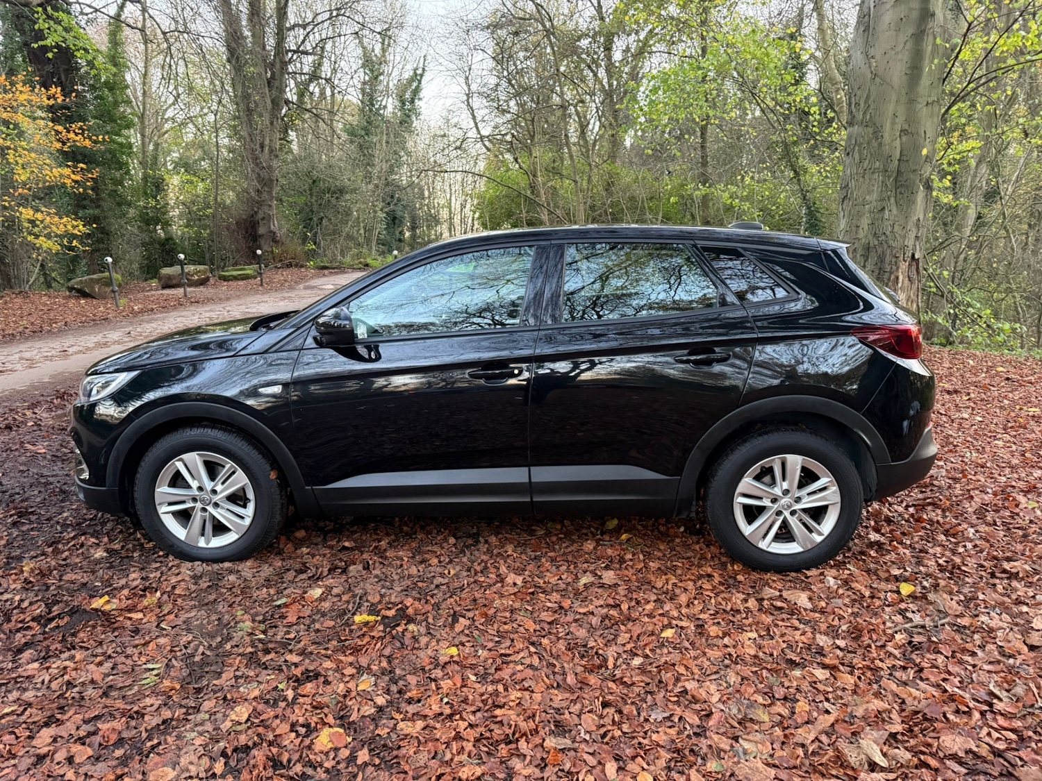 Used Vauxhall Grandland X 2018 for sale - 76602965: Photo 11