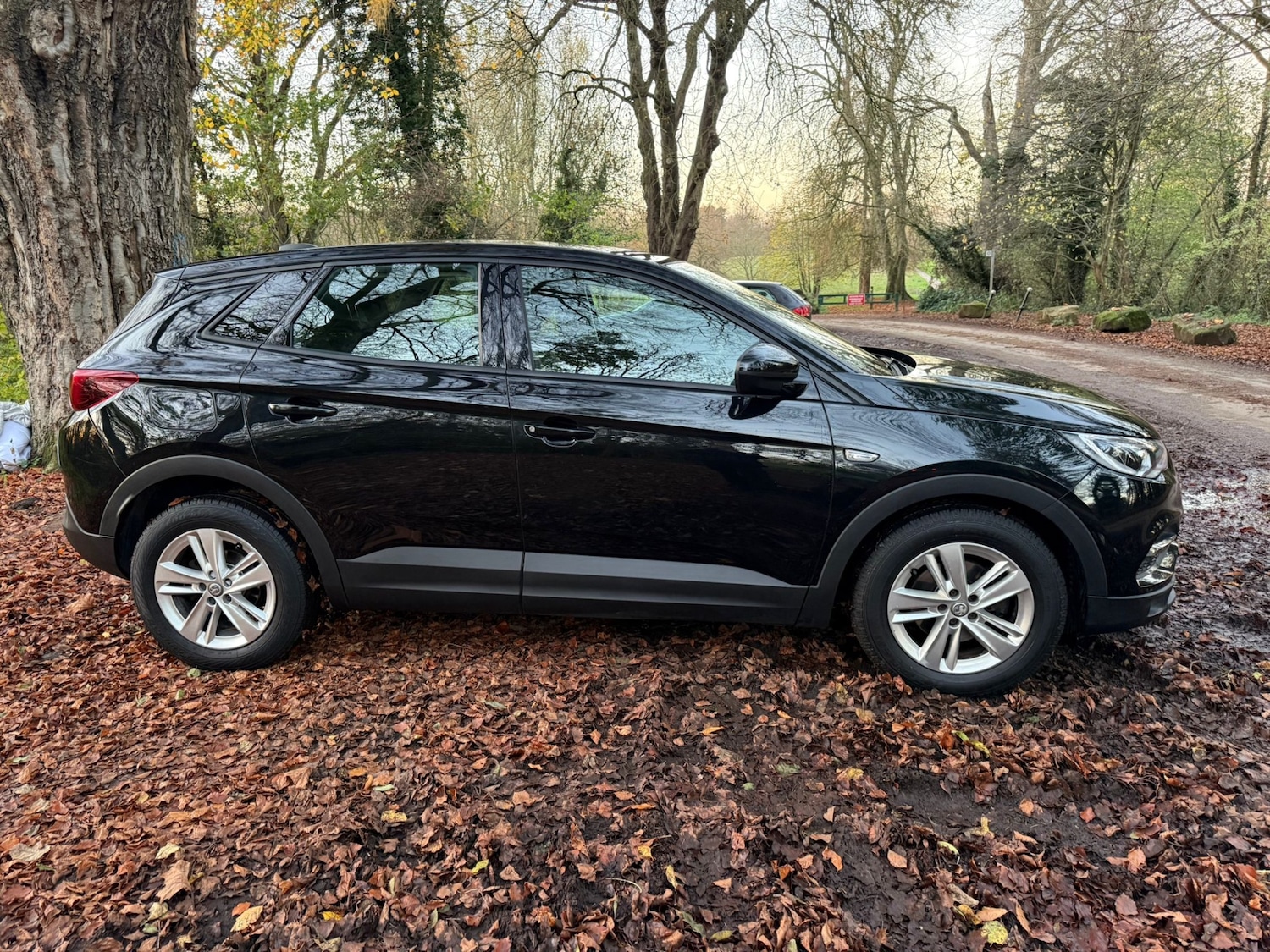 Used Vauxhall Grandland X 2018 for sale - 76602965: Photo 12