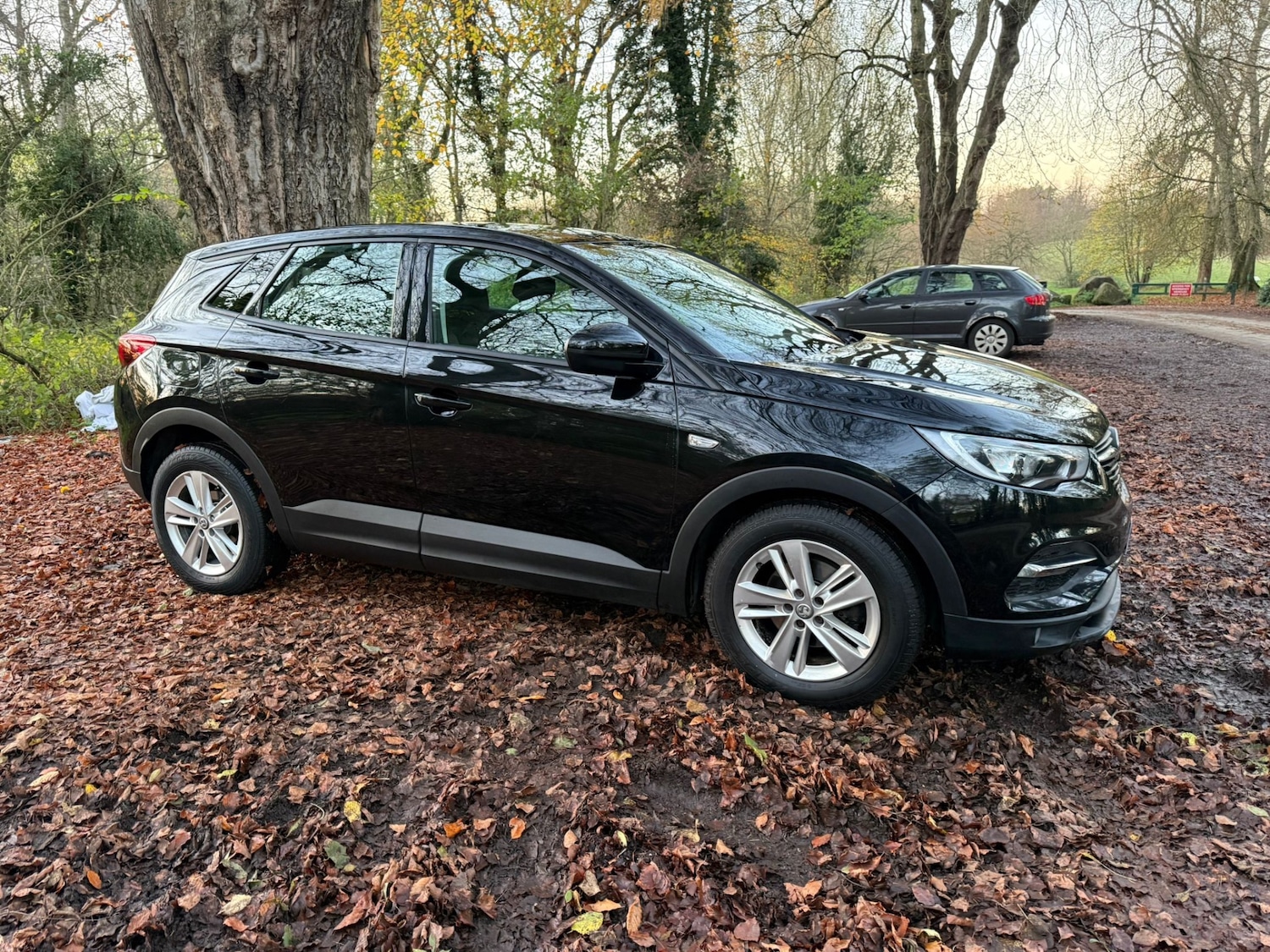 Used Vauxhall Grandland X 2018 for sale - 76602965: Photo 13