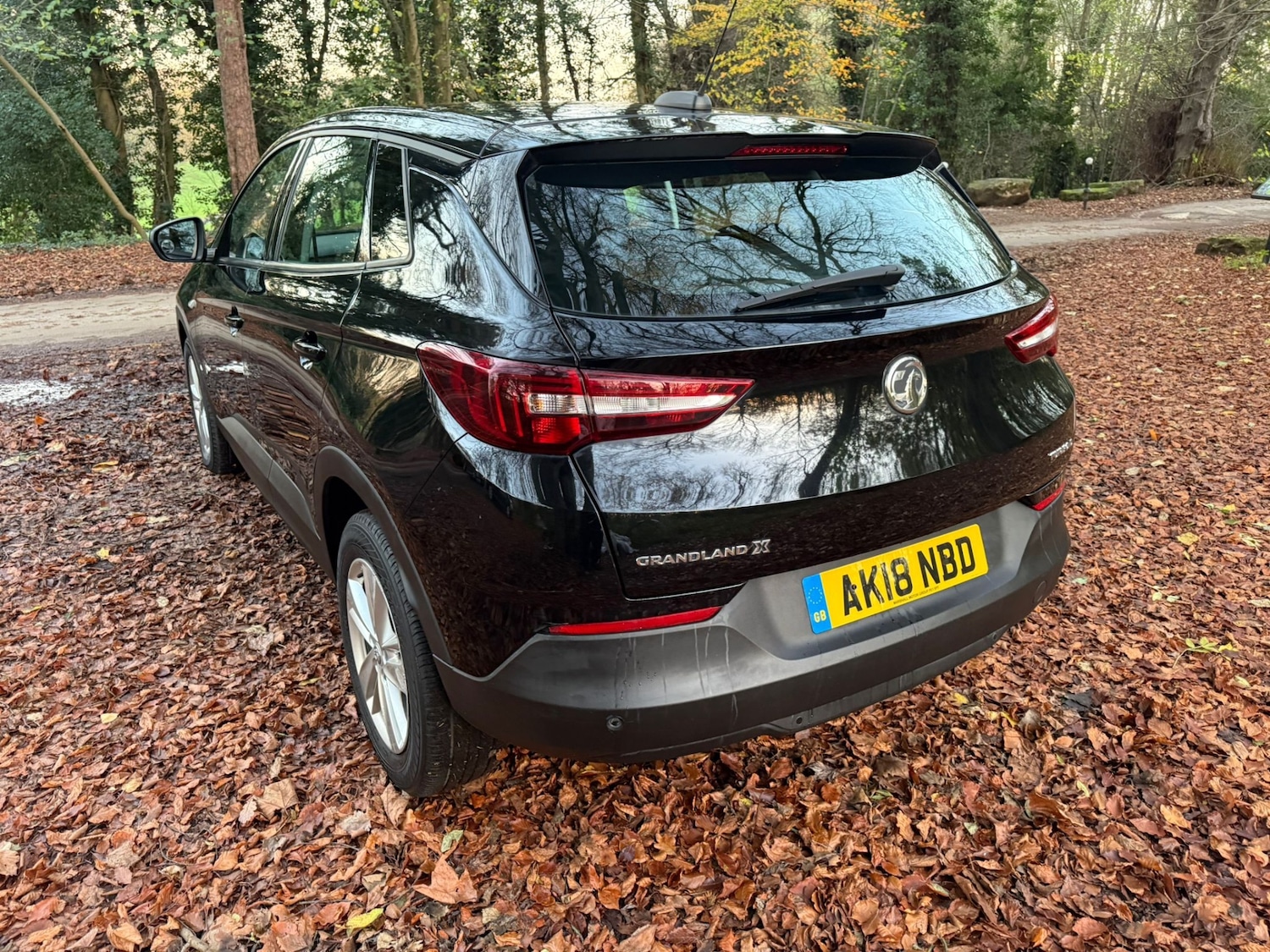 Used Vauxhall Grandland X 2018 for sale - 76602965: Photo 17