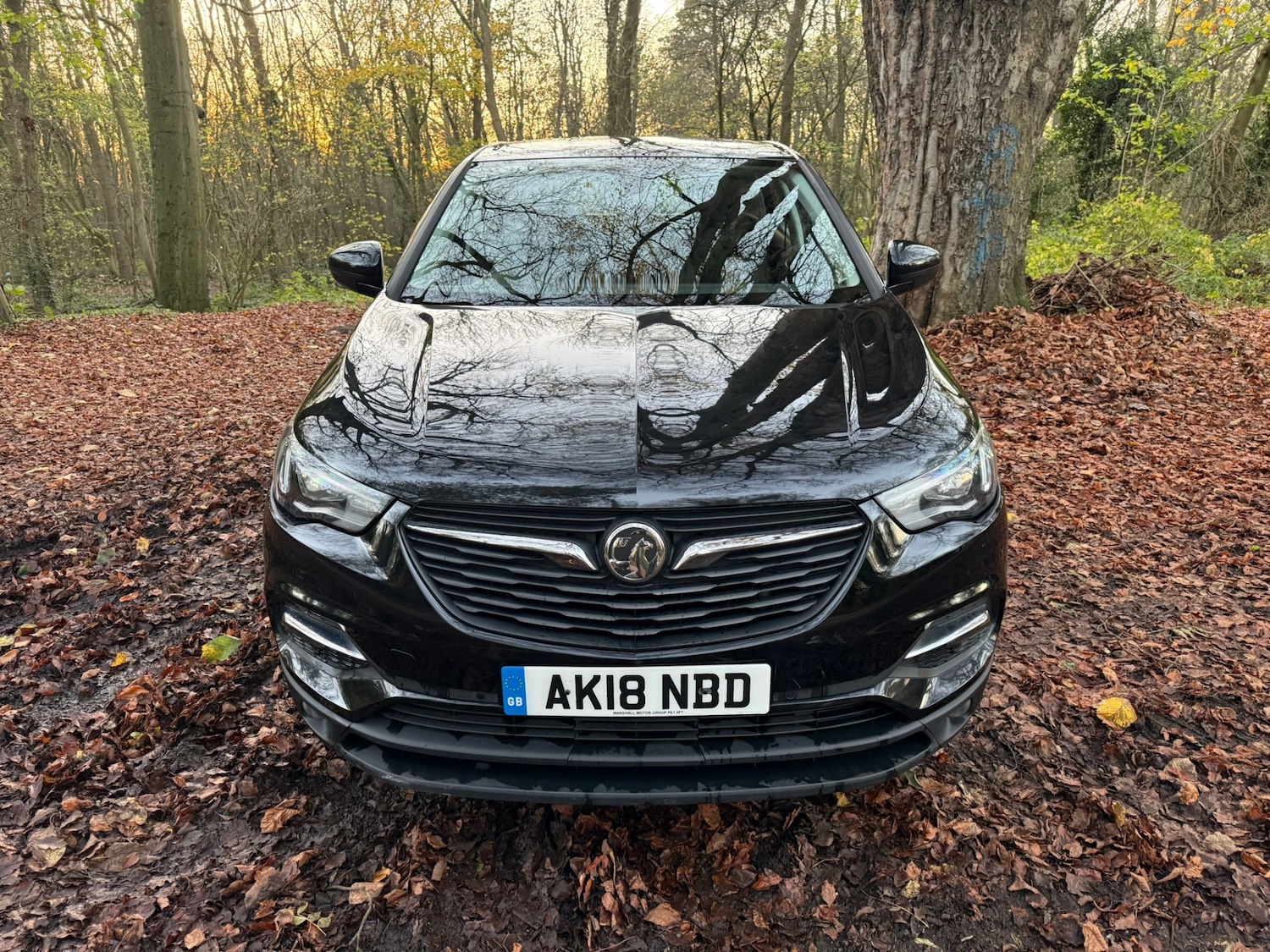 Used Vauxhall Grandland X 2018 for sale - 76602965: Photo 18