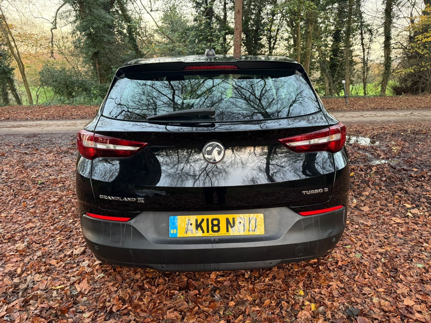 Used Vauxhall Grandland X 2018 for sale - 76602965: Photo 19